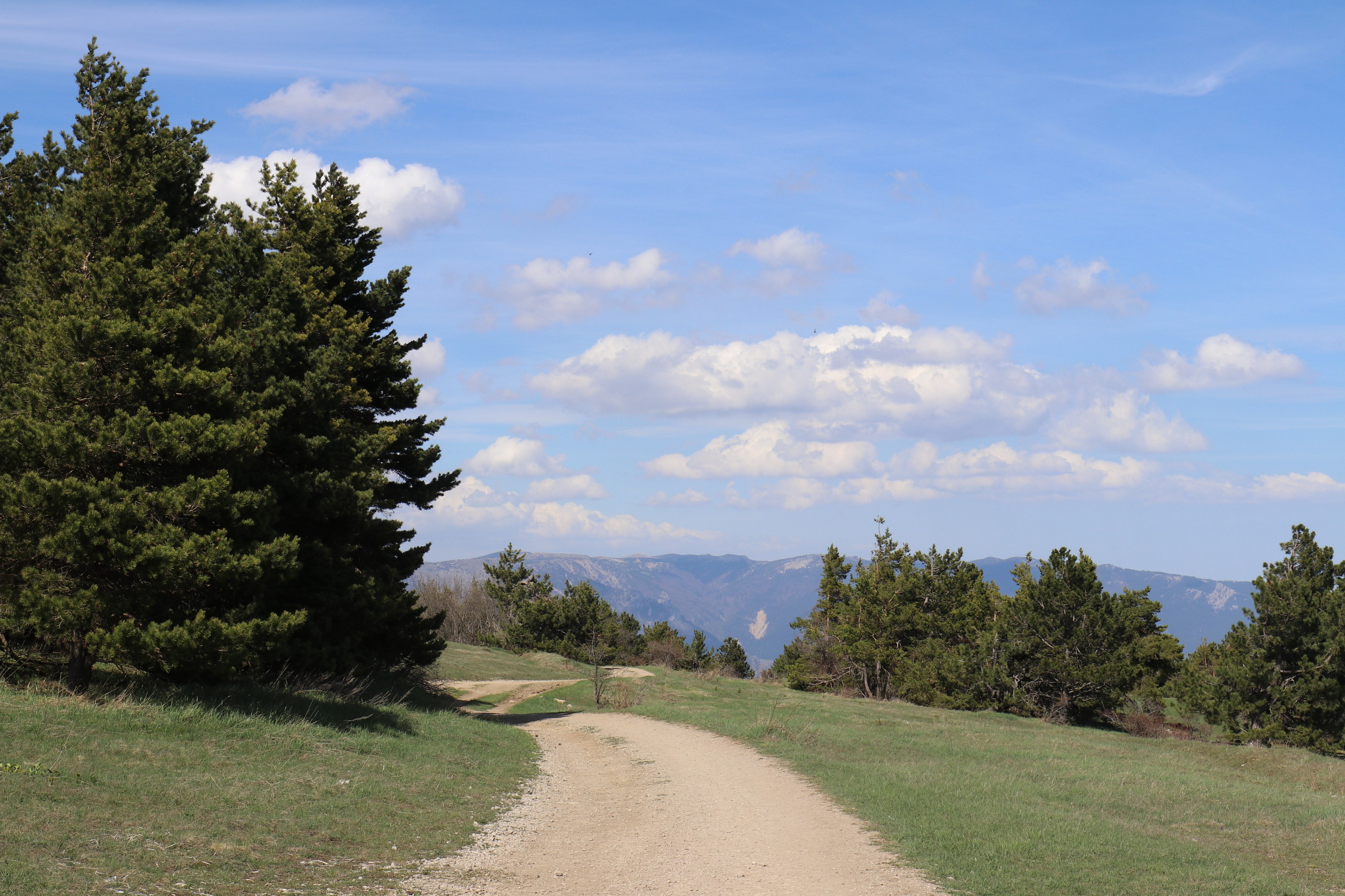 Крым. ЮБК (Бахчисарай, Кастрополь, Таракташская тропа). Май 2021. Путешественник-фотограф из Санкт-Петербурга Татьяна Свистулина
