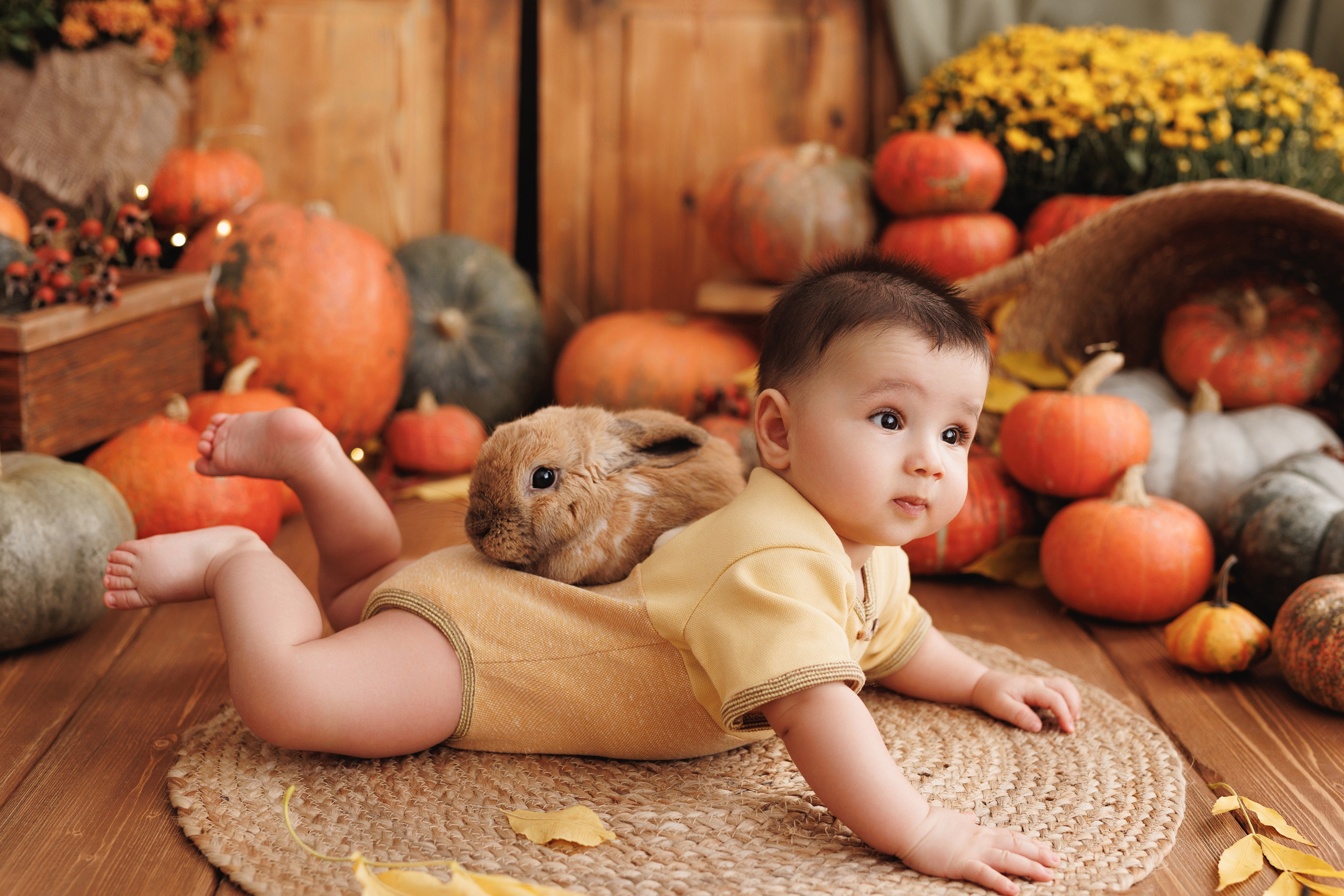 Фотопроекты. Профессиональная детская и семейная фотостудия в Краснодаре