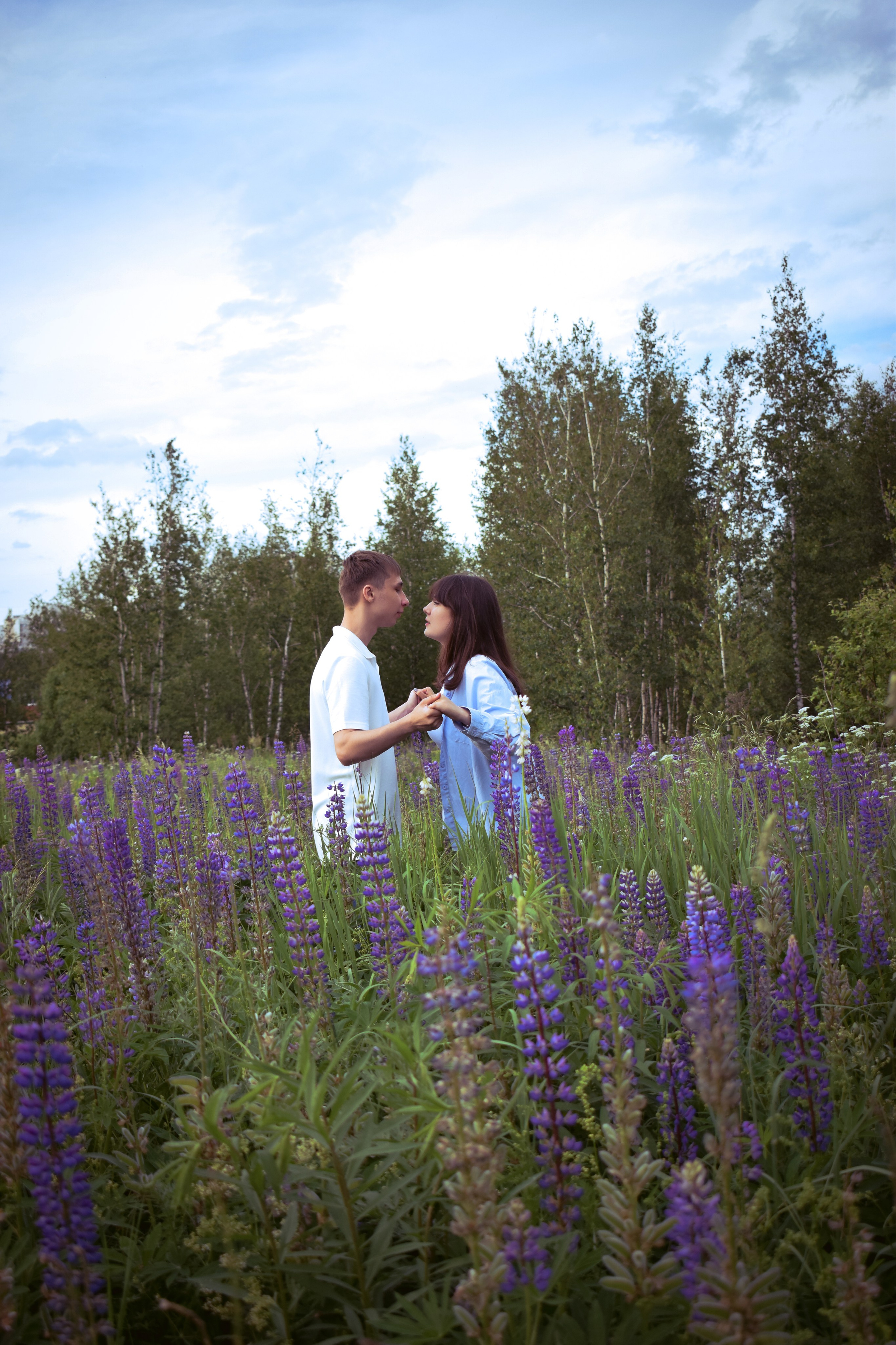 Сьемка в люпинах. Фотограф Москва