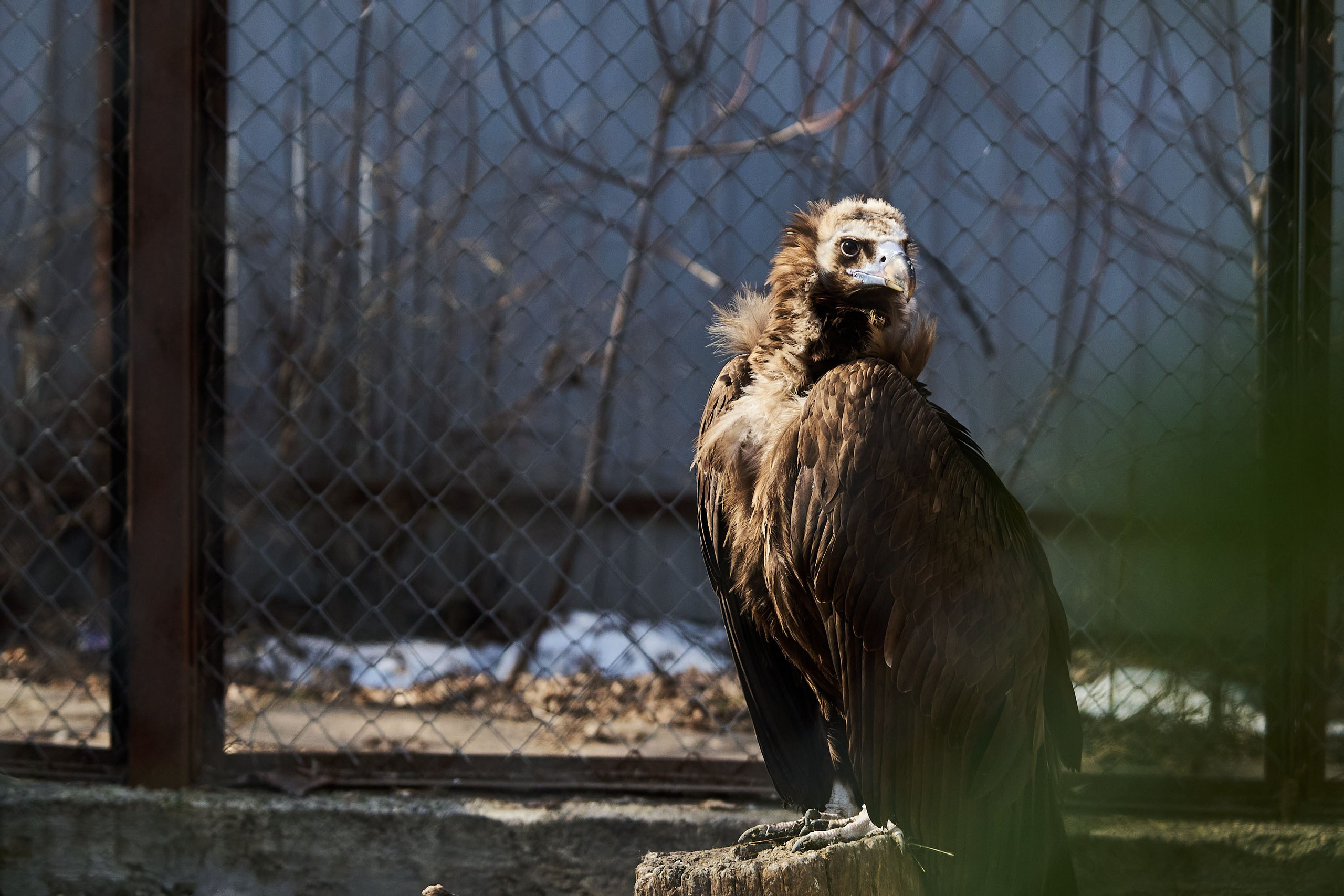 Зоопарк Иваново. Фотограф в Иваново: Каталожная съемка одежды и постельного белья, Wildberries