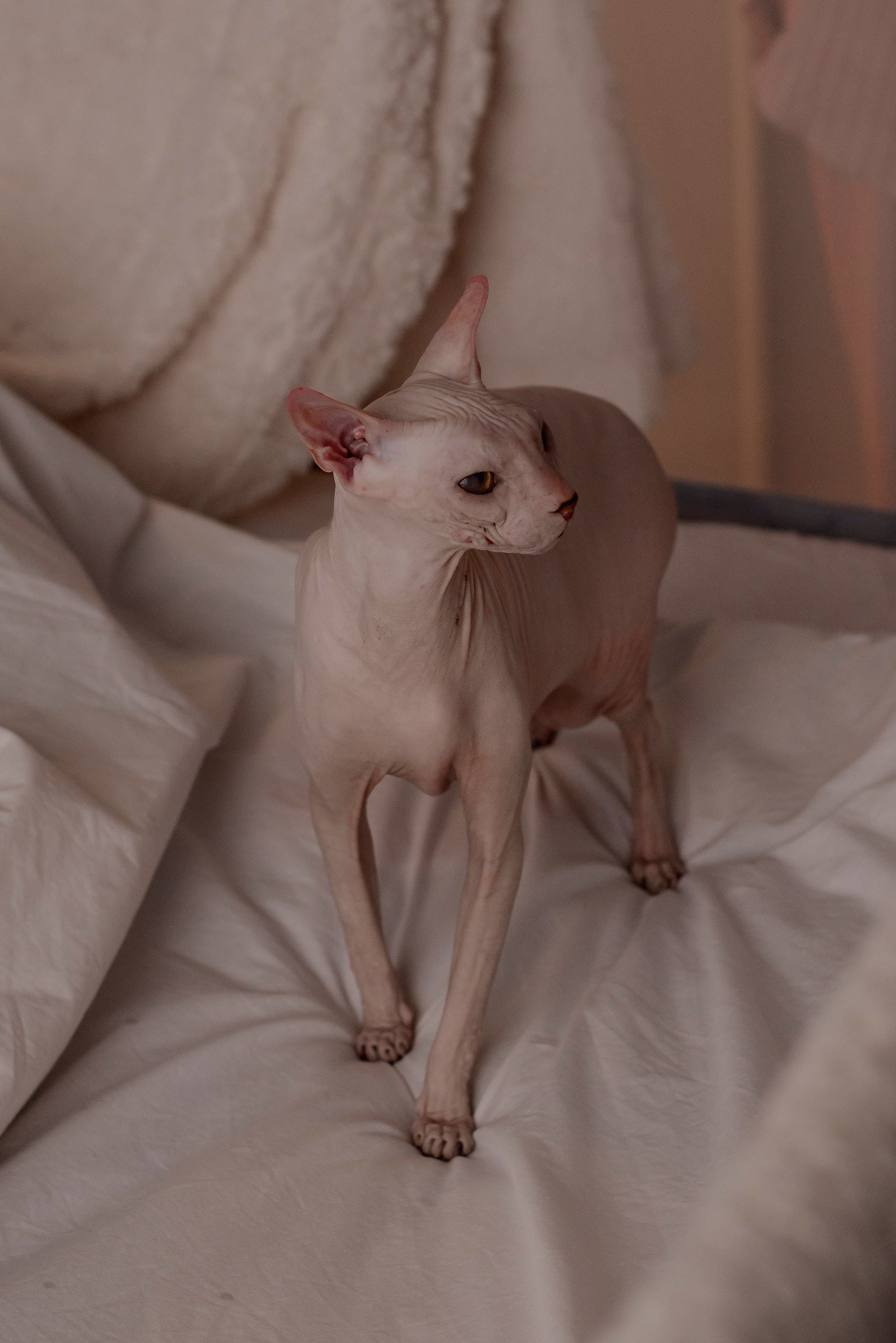 Утро Кати. Семейный фотограф в Новочеркасске Виктория Громова