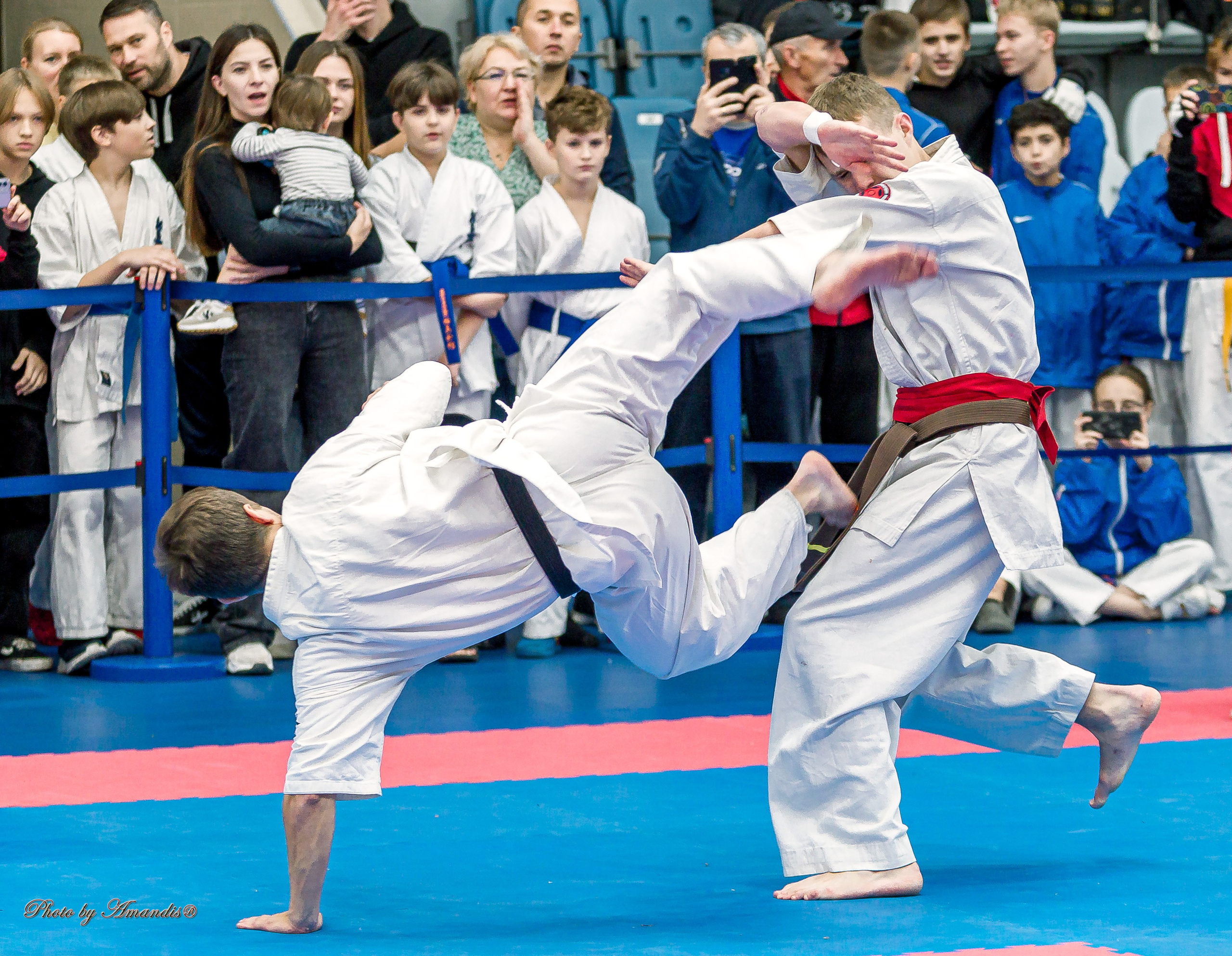 Чемпионат по Киокушинкай Центрального Федерального округа. Репортажная съемка в Москве и области. Анималистика