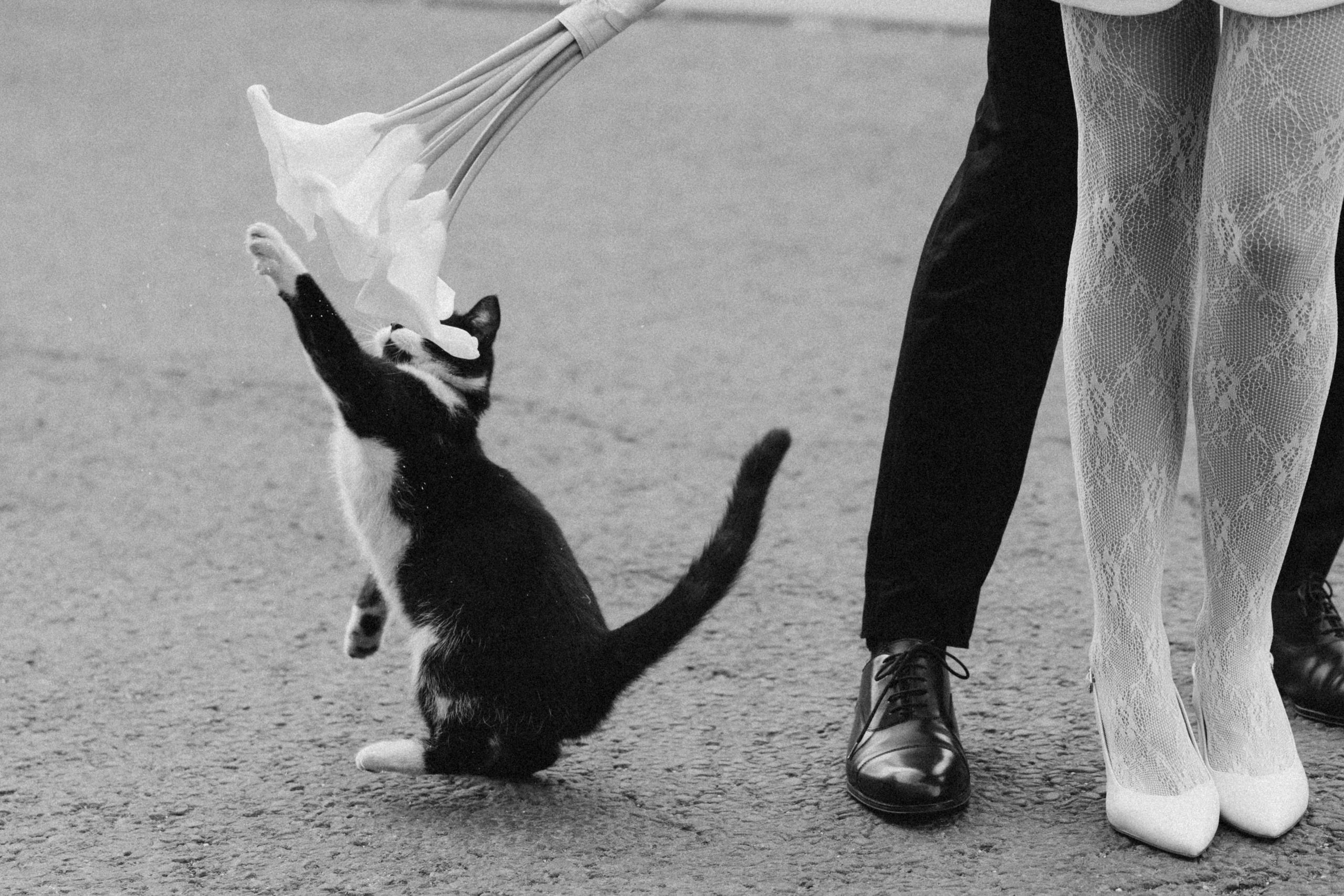 Данил и Елена. Свадебный, портретный и семейный фотограф в Москве Абукалиева Диляра