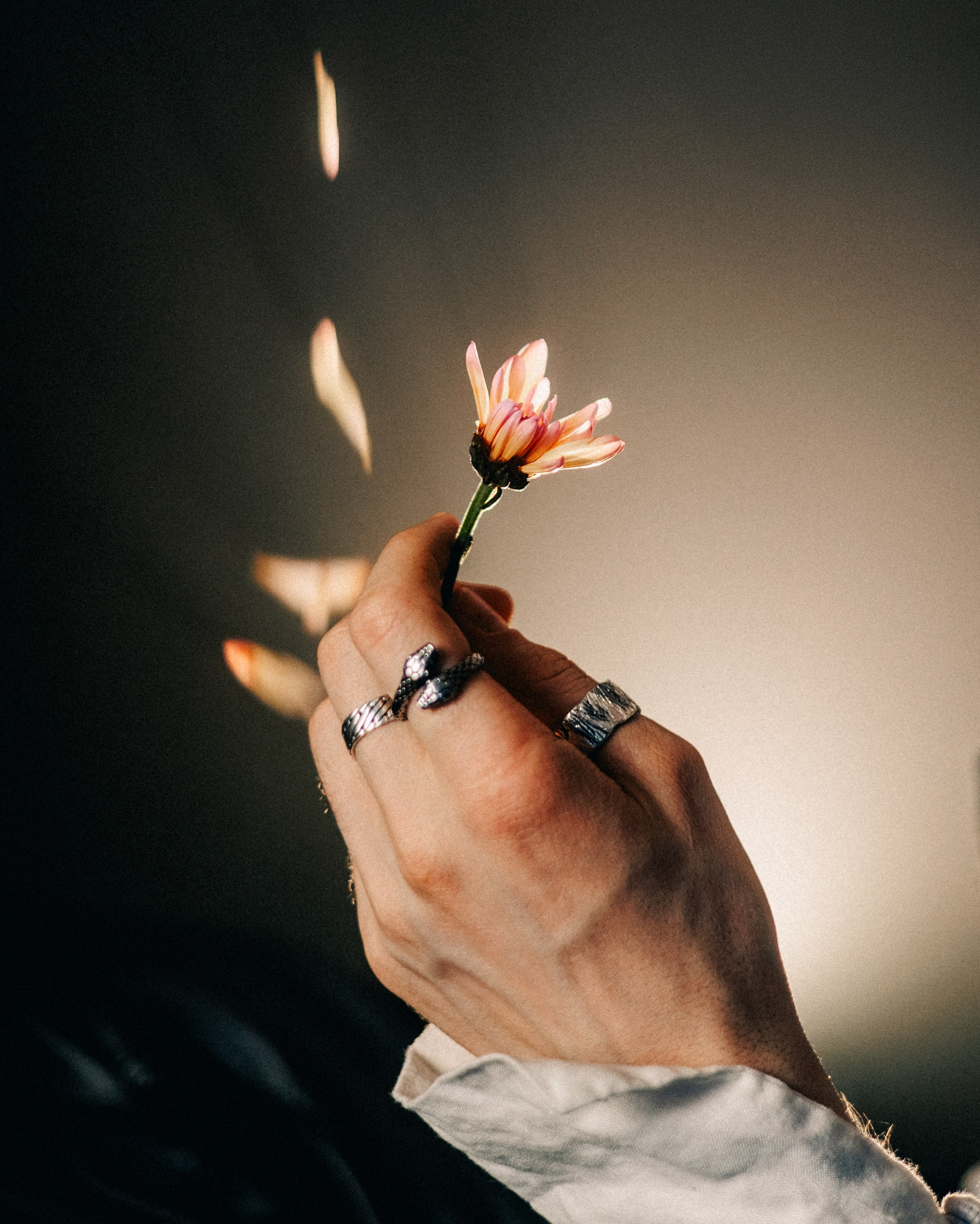 Нарцисс. Портретный фотограф Юлия Дроздова | Санкт-Петербург | Москва