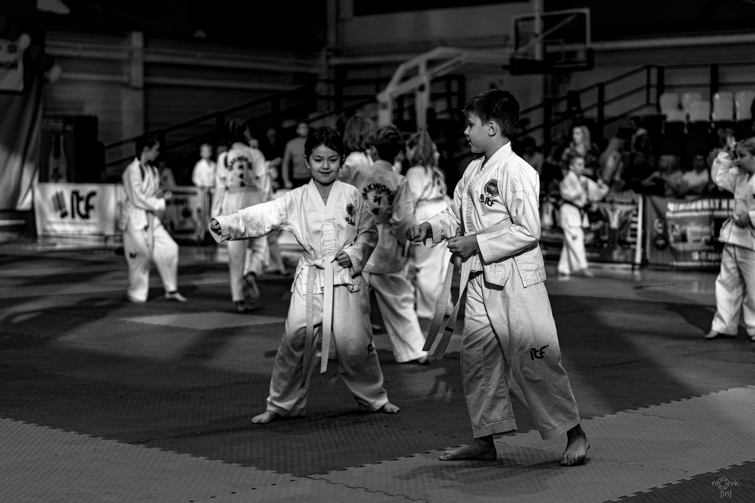 Тхэквондо. ФОТОГРАФ ИВАН НОВИКОВ | СТАВРОПОЛЬ