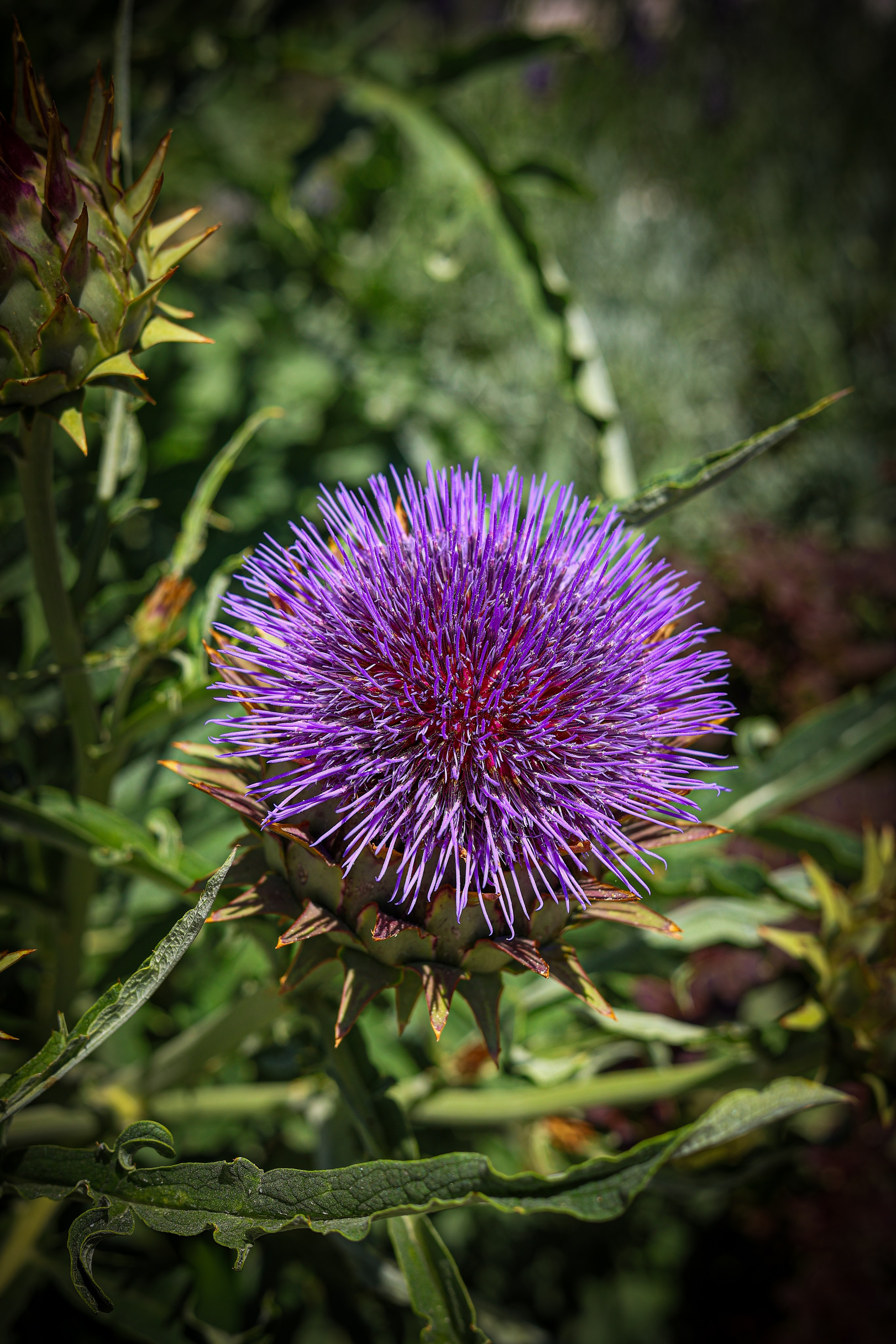 Природа. Be_Legend