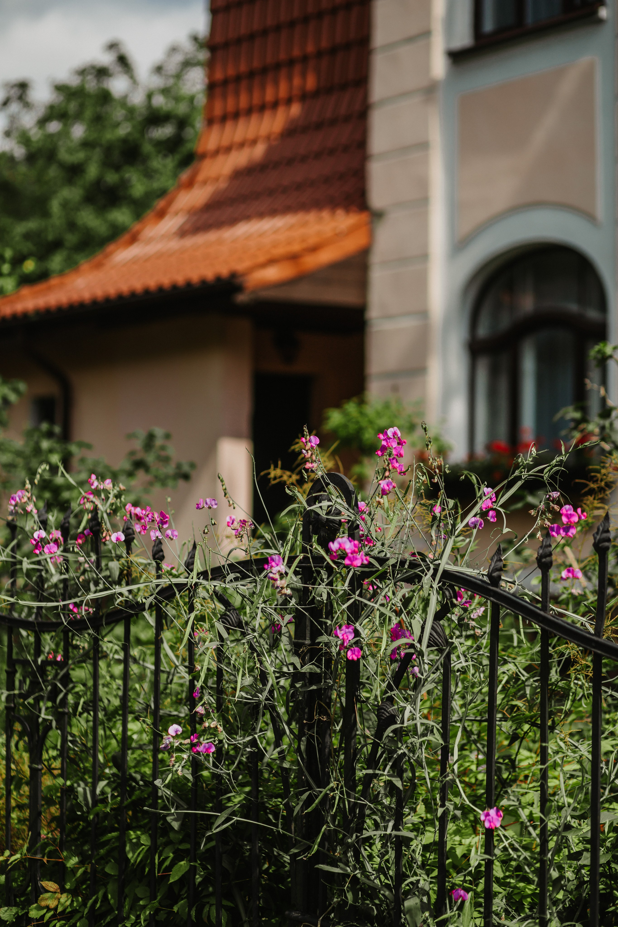 Anastasia Le. Фотограф в Калининграде