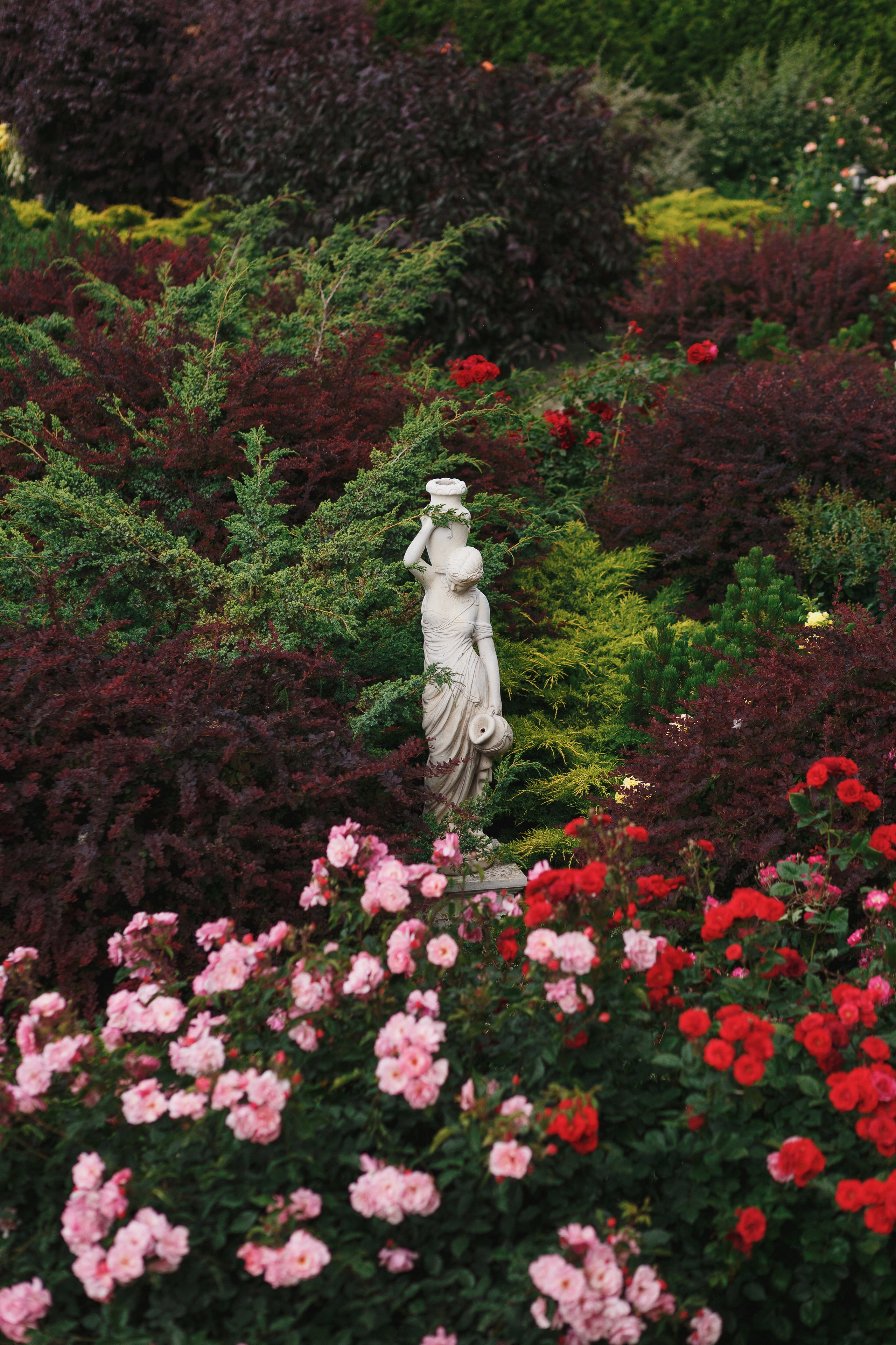 Профессиональная фотосессия Дня Рождения Людмилы в Варваци, Таганрог. Свадебный и семейный фотограф в Таганроге Бакарюк Антон
