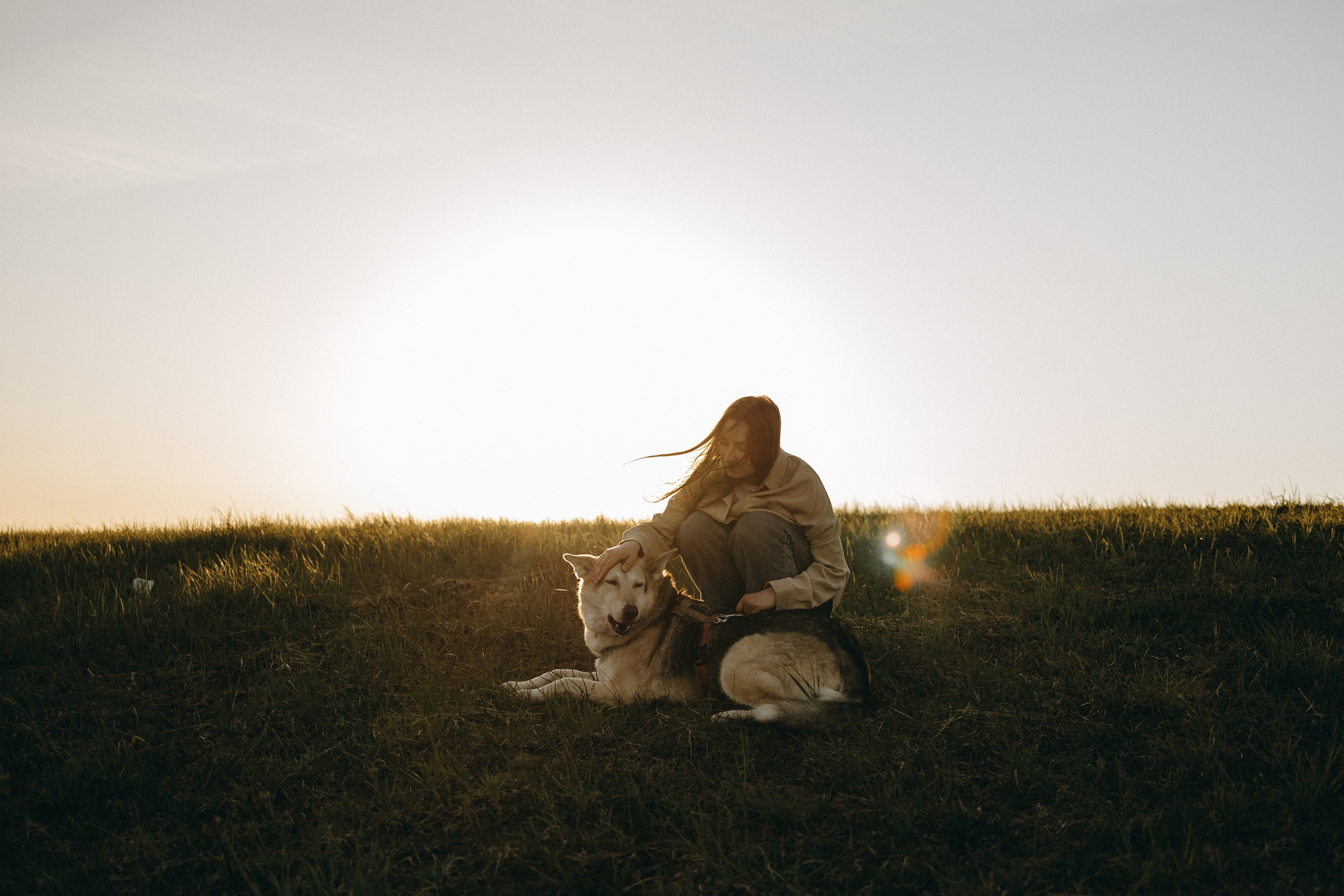 Саша и Зельда. Фотограф — Анималист | Санкт-Петербург