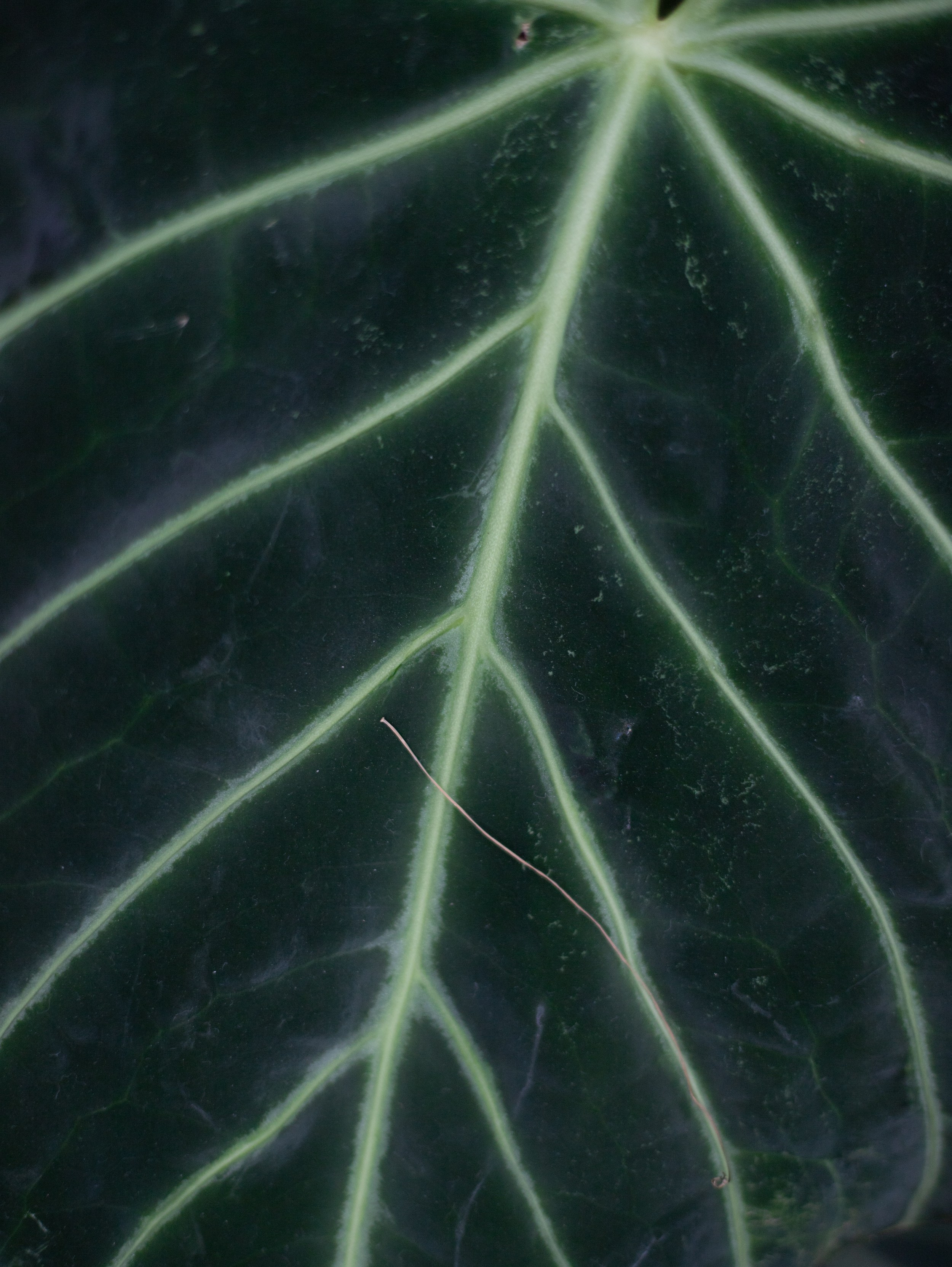 КОСМЕТИКА | Наталья Виринея