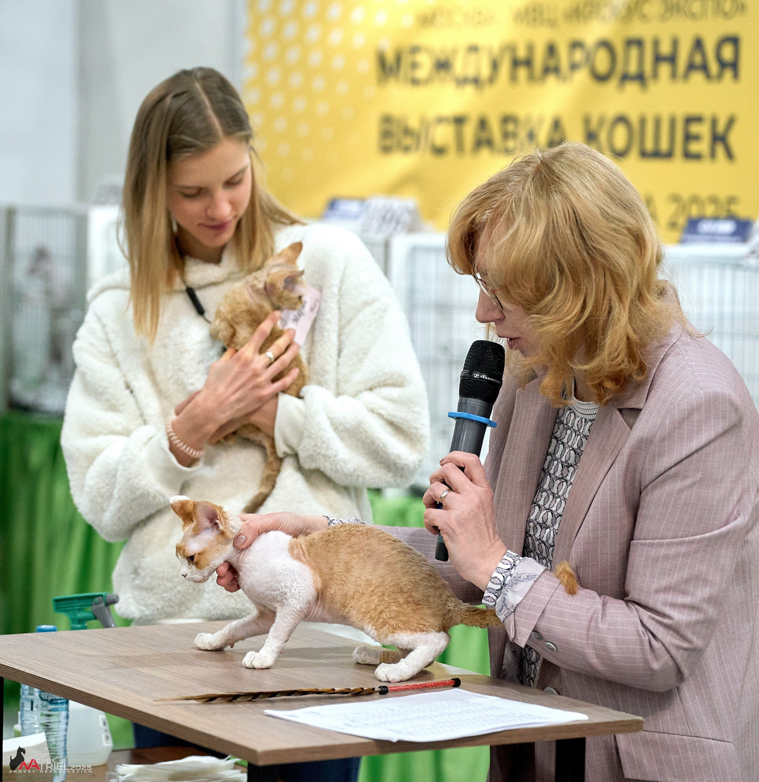 Репортаж с ЗООФЕСТ в Крокусе