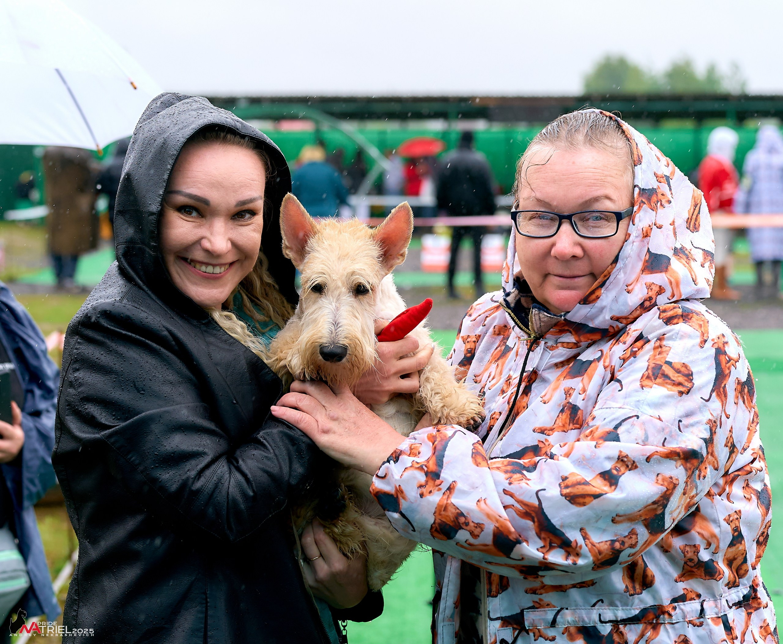 Репортаж с выставки собак