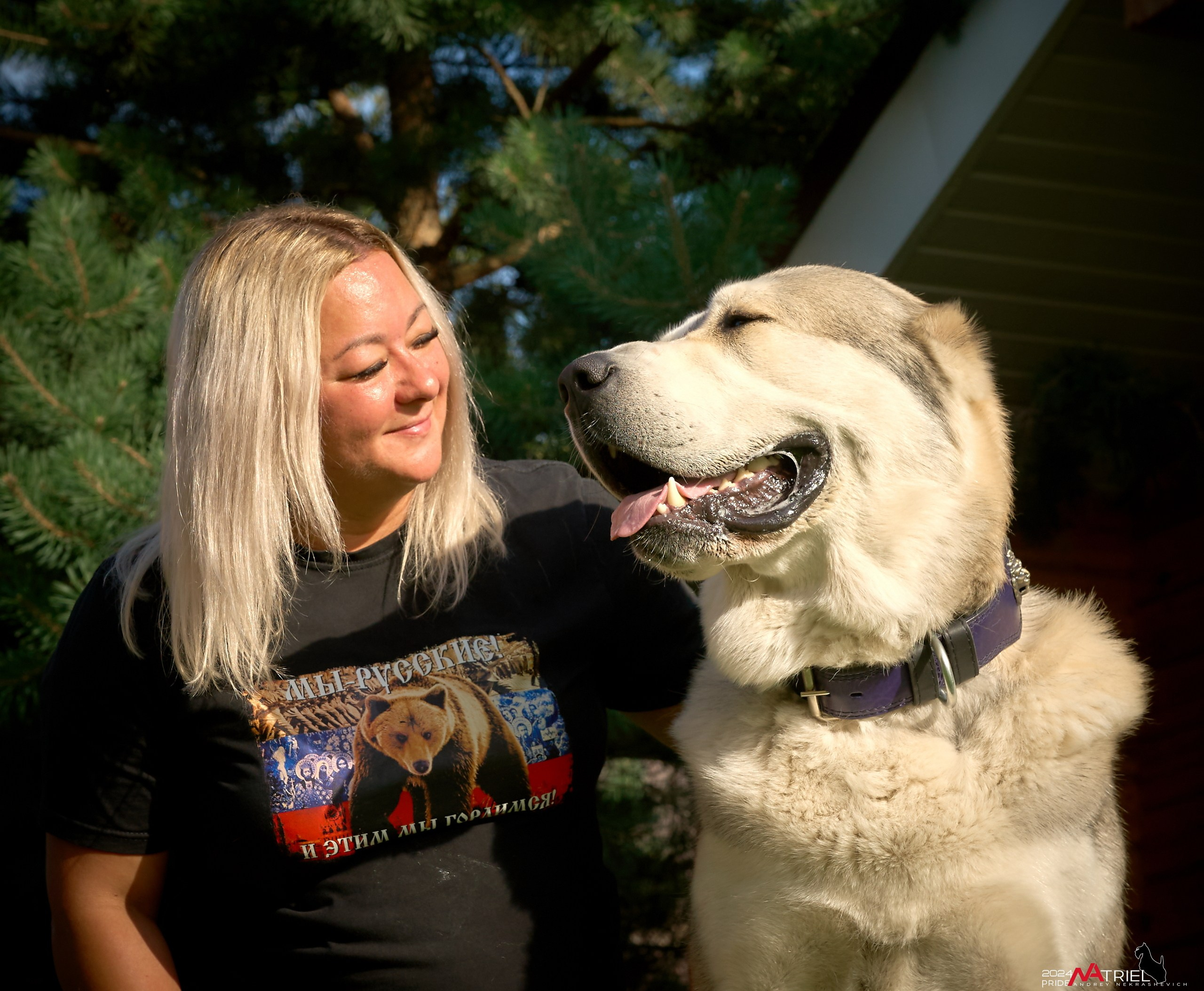 Съемка собак с выездом к Вам в дом