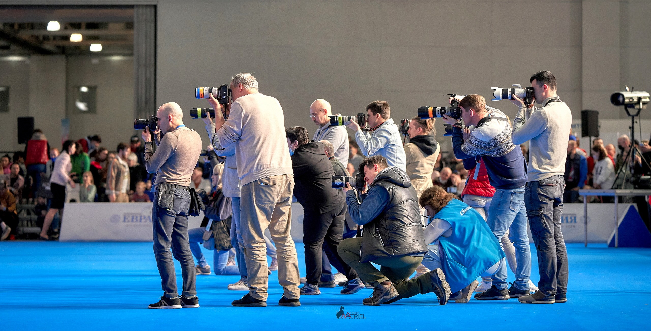 Картинки с выставки — галерея NATRIEL