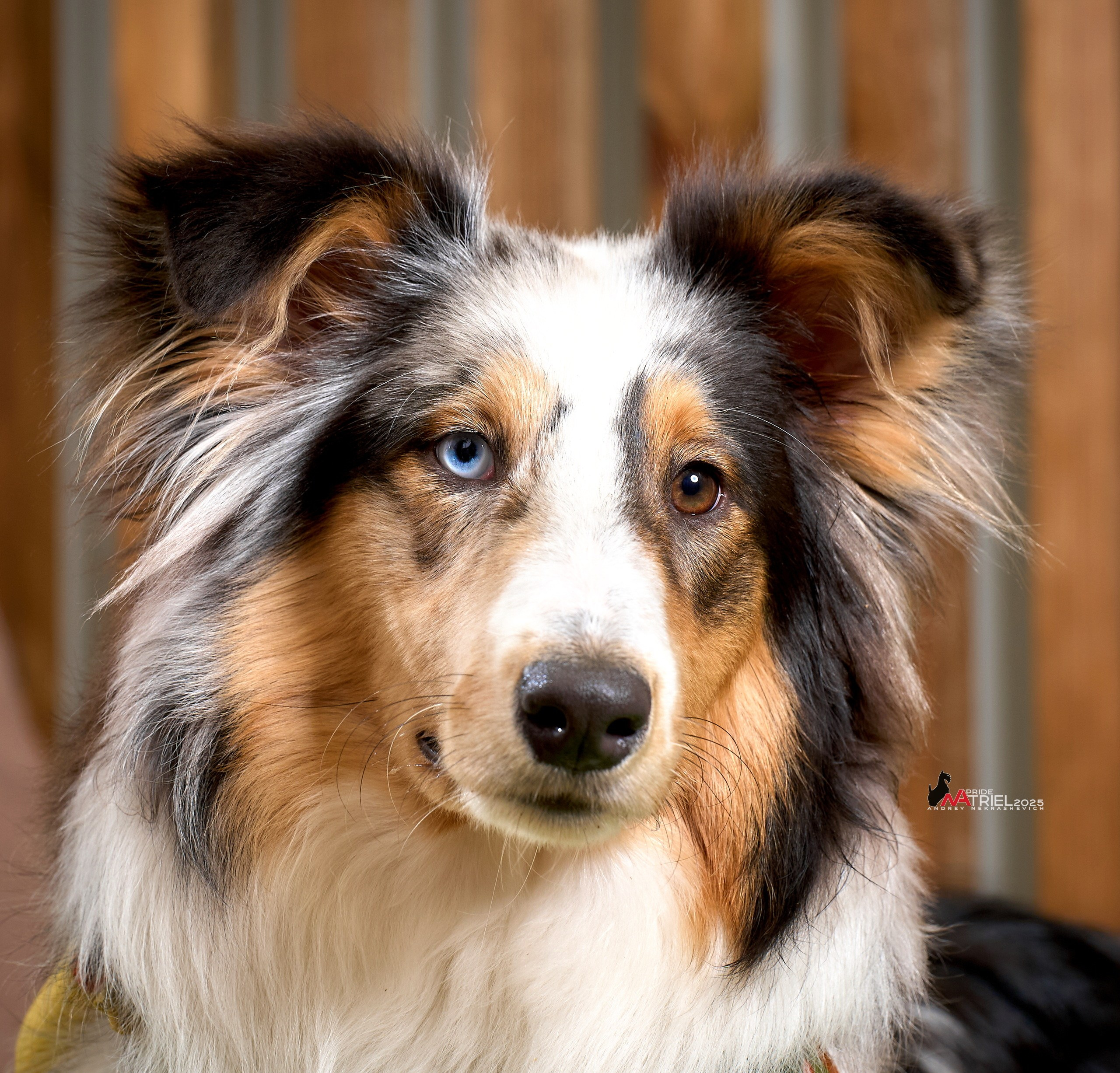 Репортаж GROOM с мобильным светом