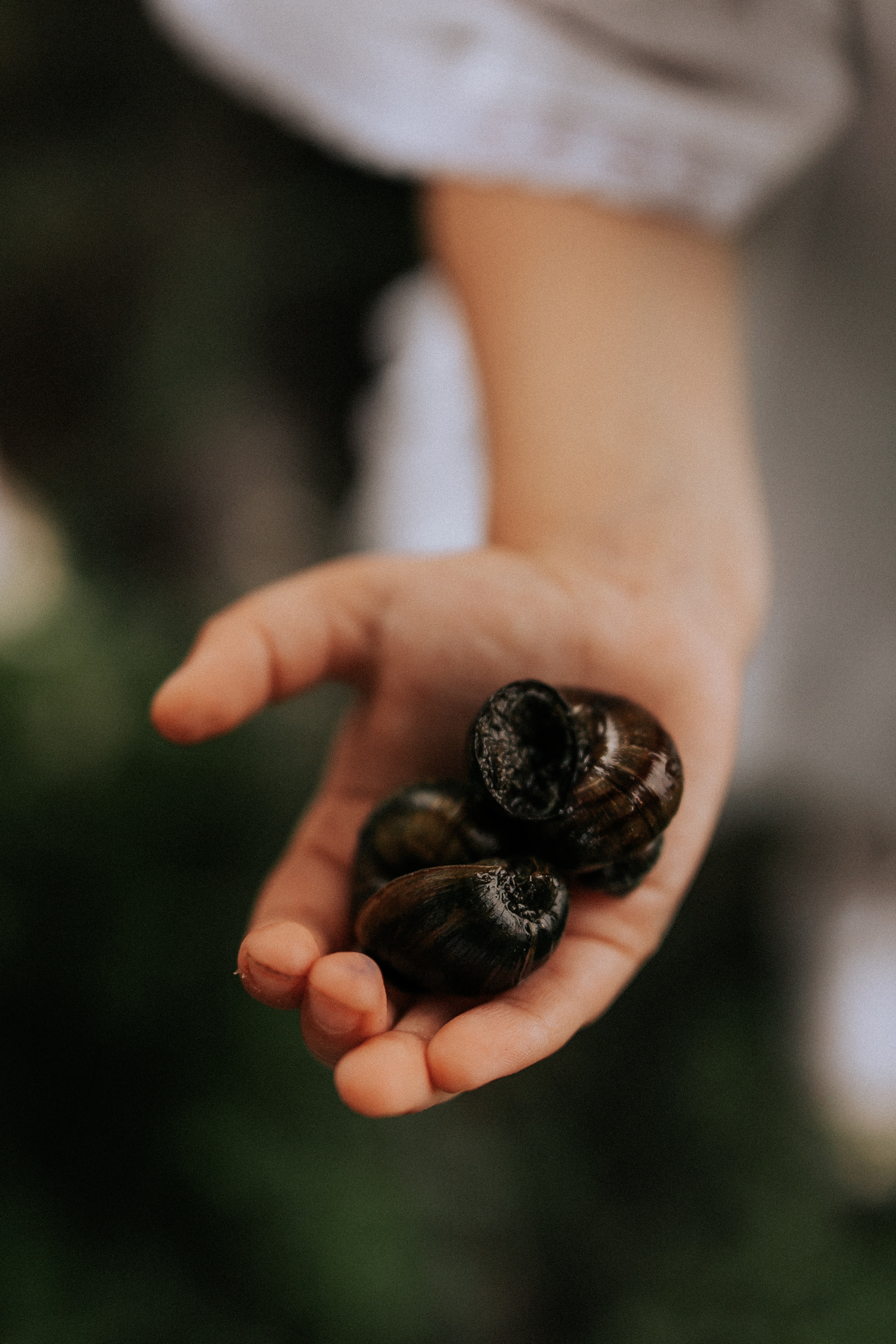 Лето-это маленькая жизнь!. Фотограф в Тюмени Пушкарева Анастасия