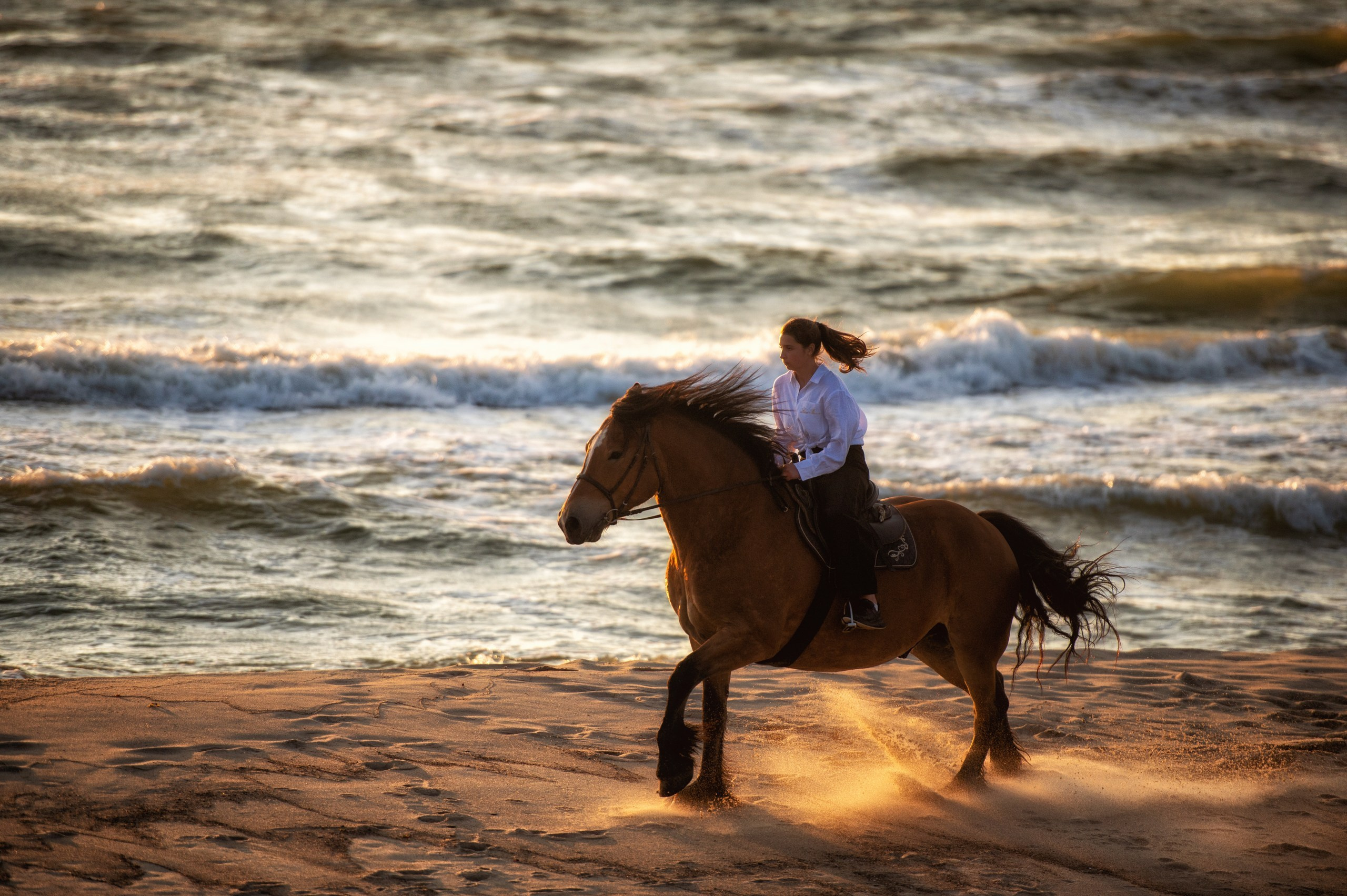Побережье Балтийского моря. Фотограф с лошадьми в Калининграде Татьяна Ларина