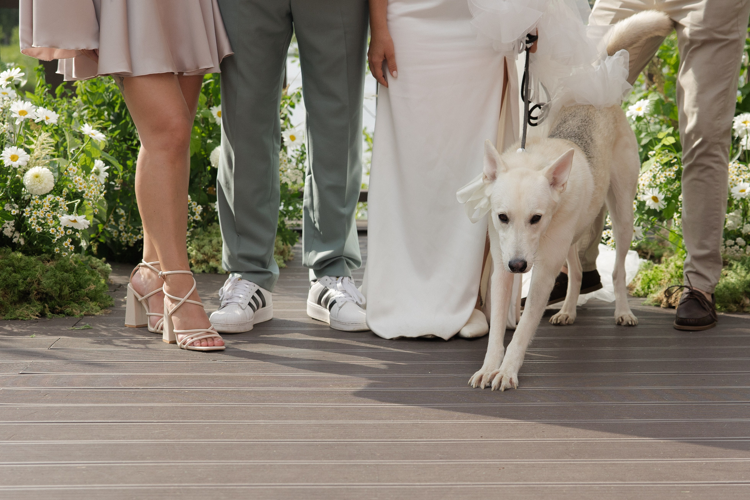 Виталик & Катя. Wed Photographers 📷 Saint Petersburg