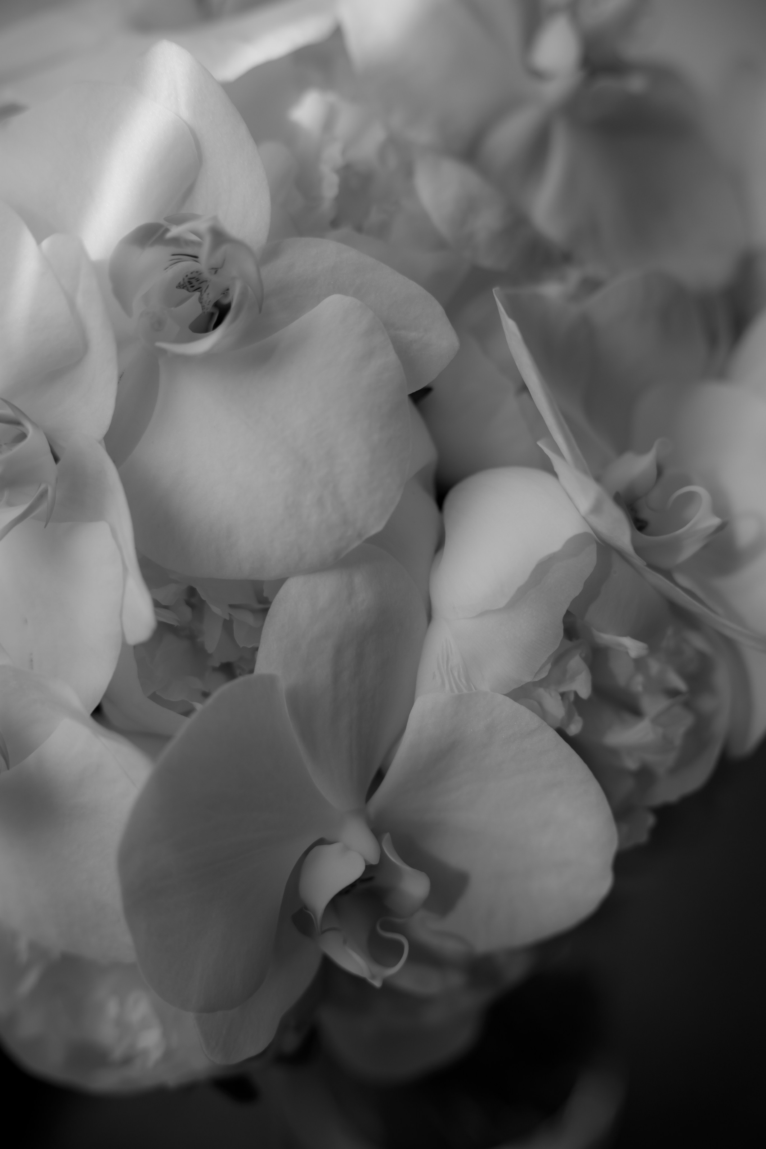 МЫ ЖЕ НА ТЫ. Фотограф Наталия Бирюкова