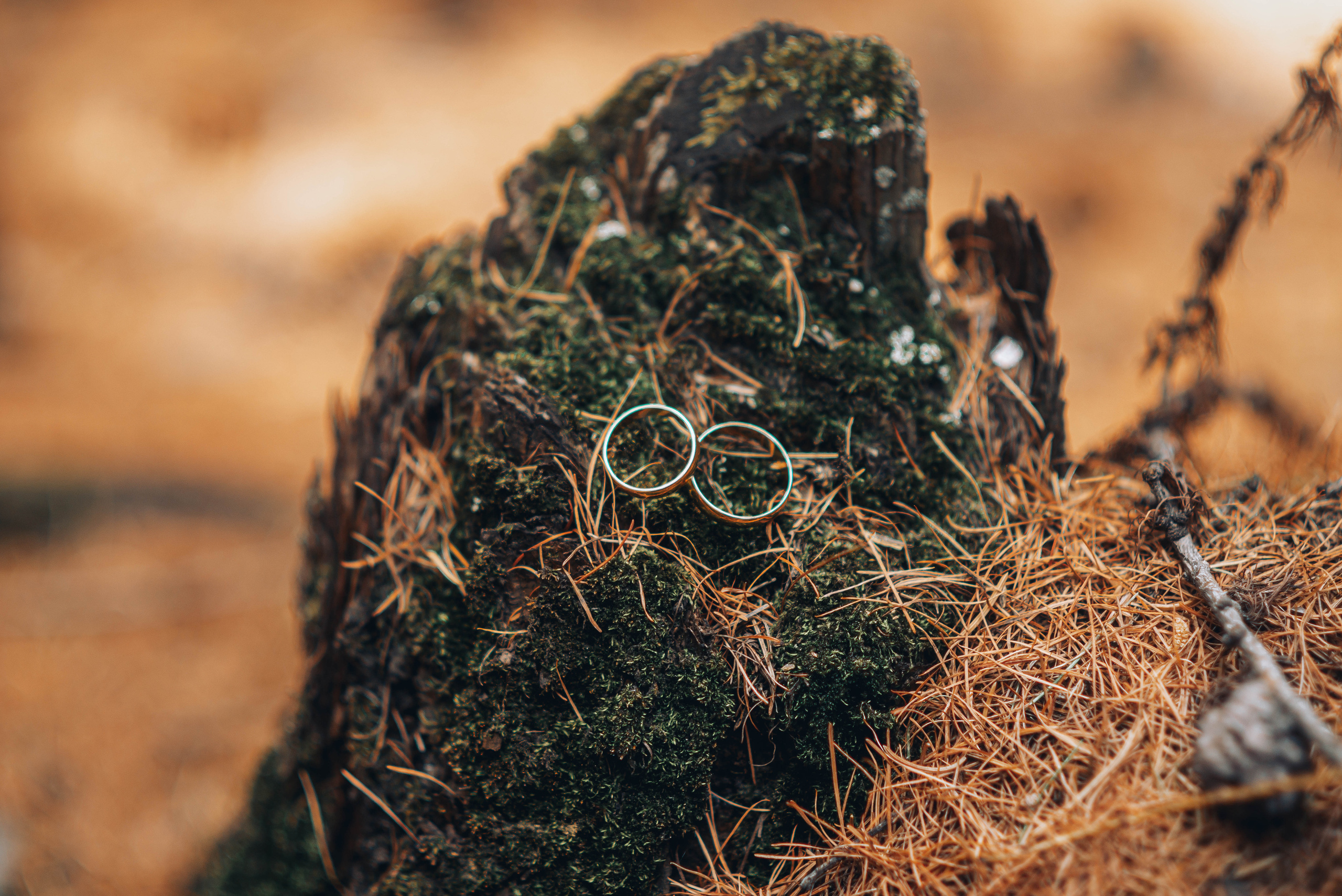 Свадебная и концептуальная фотография в городе Улан-Удэ