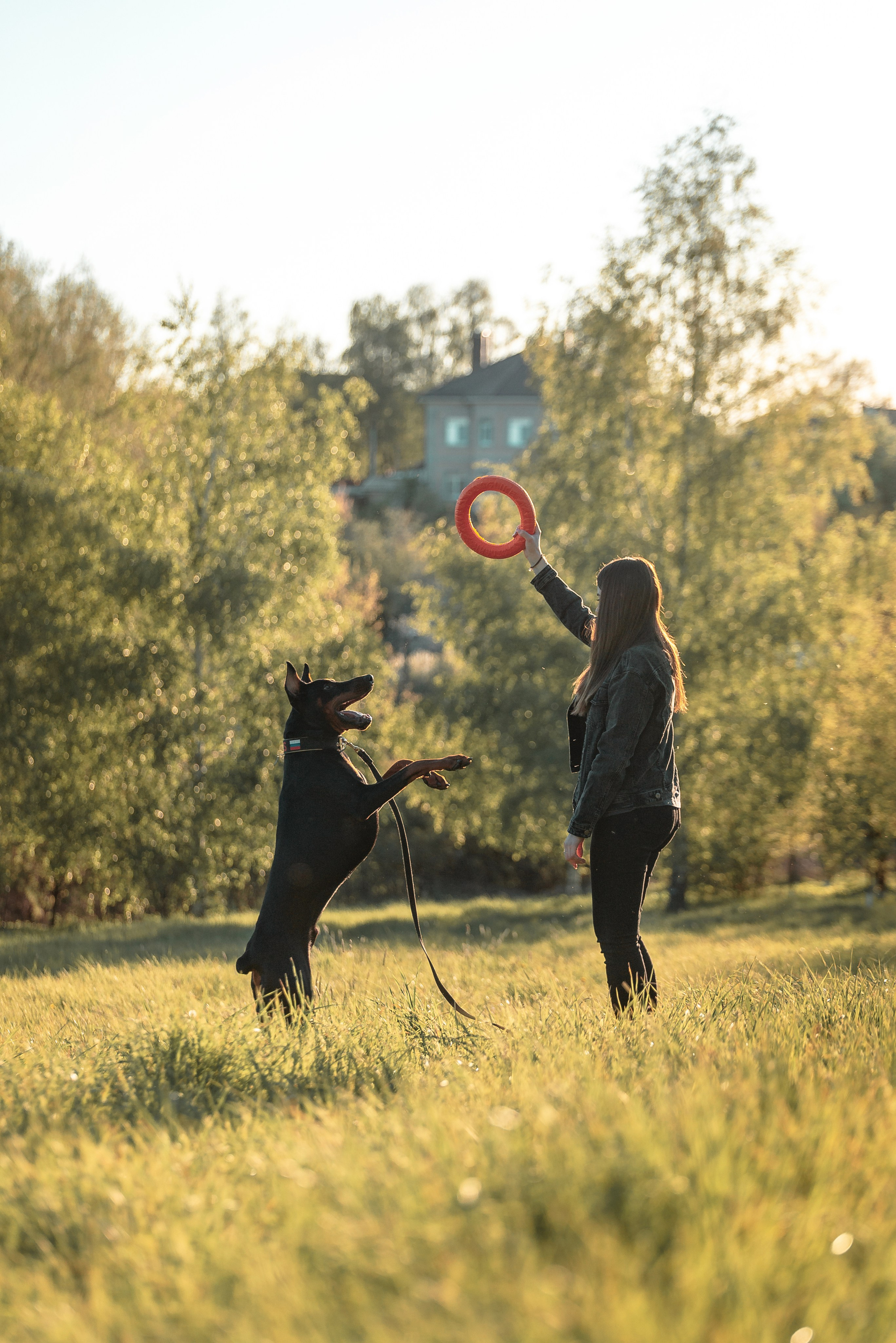 Юля, Андрей и Арес. Фотограф-анималист Анастасия Парфенова|Екатеринбург