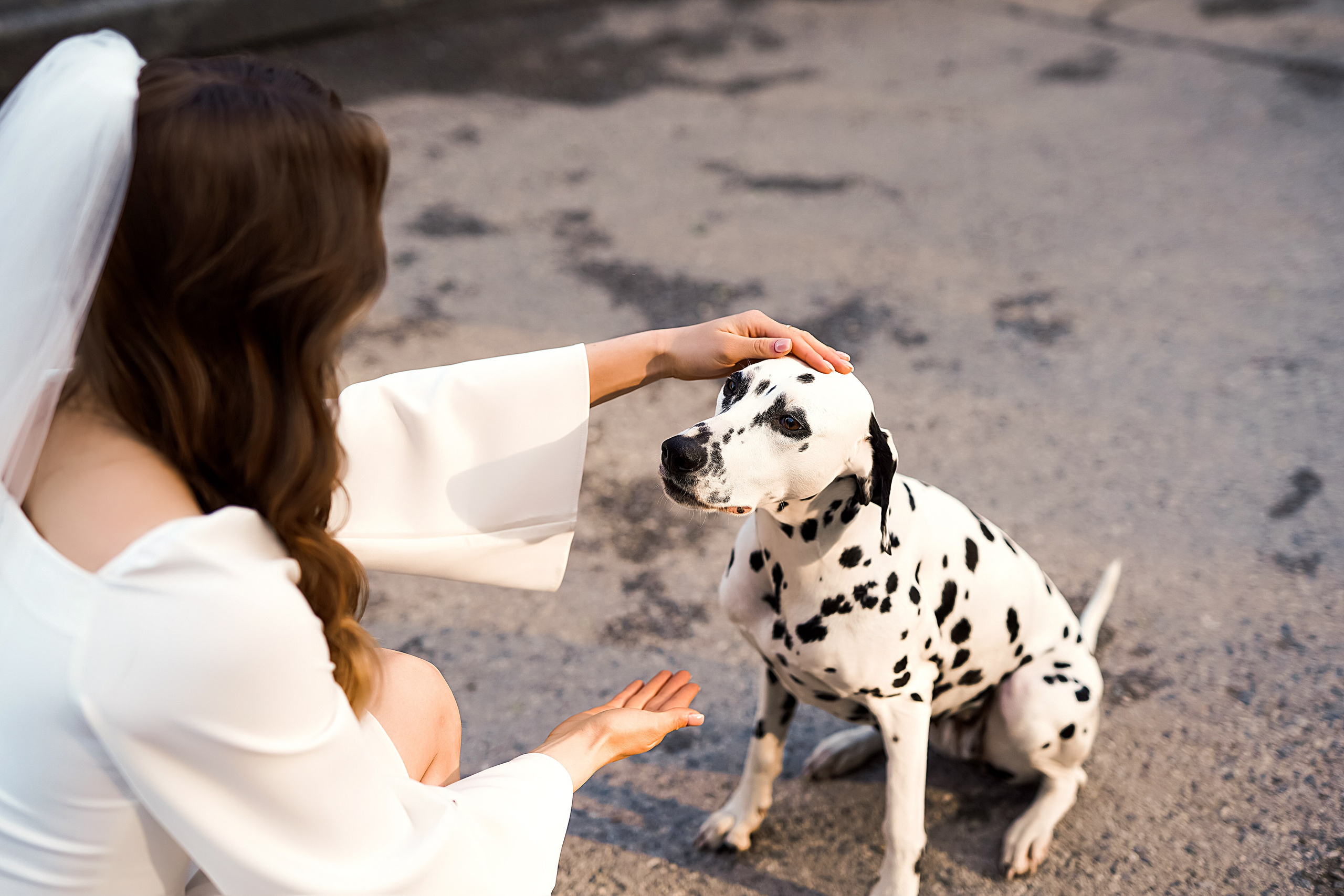 Свадебная фотосессия Константина и Алины. Семейный и свадебный фотограф в Ульяновске Арина Авдеева