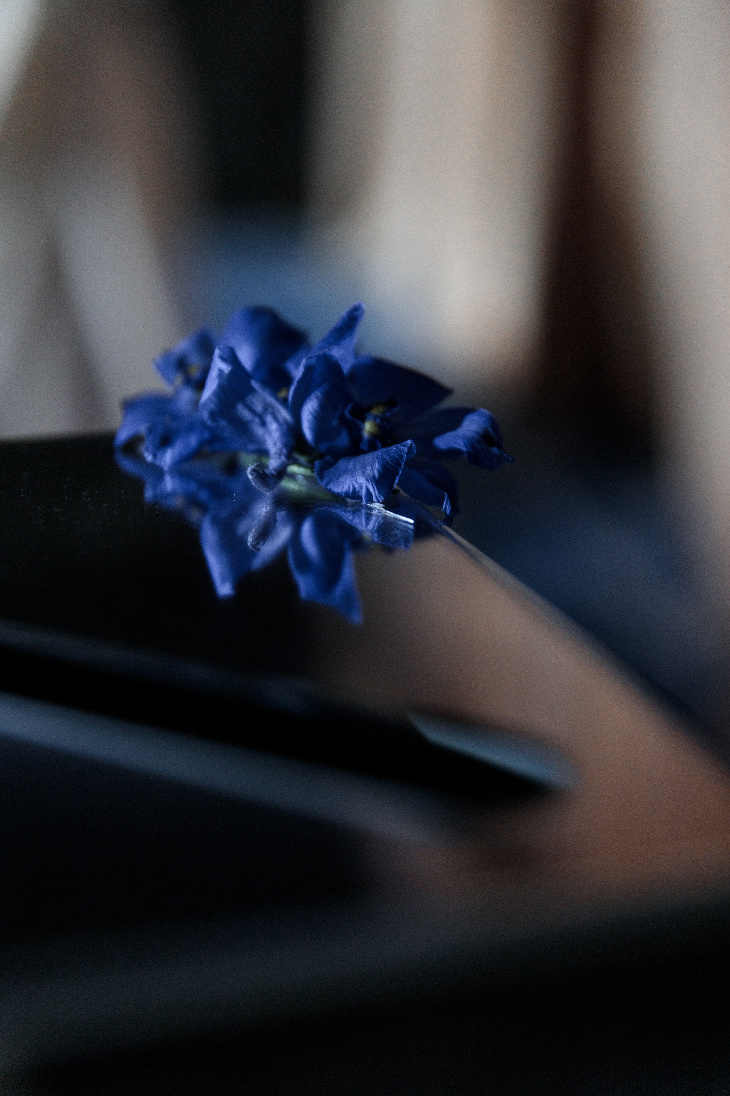 Дима и Диана. Свадебный и семейный фотограф Алимова Леся