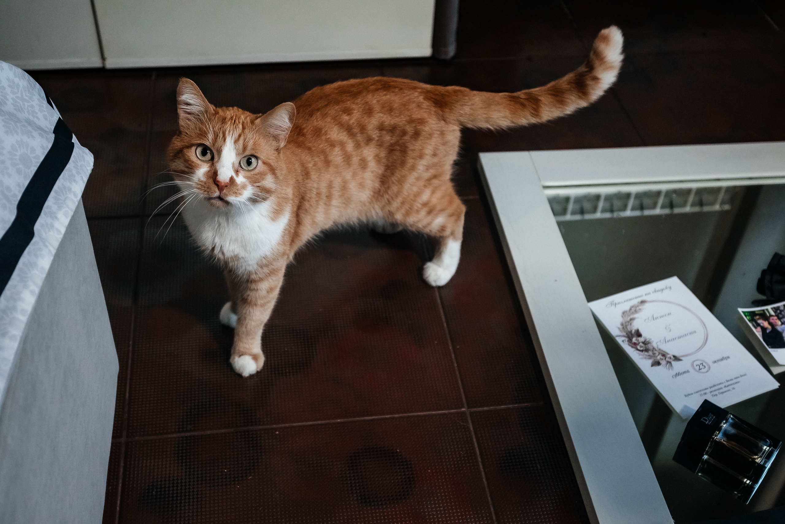 Свадьба. Свадебный, семейный фотограф