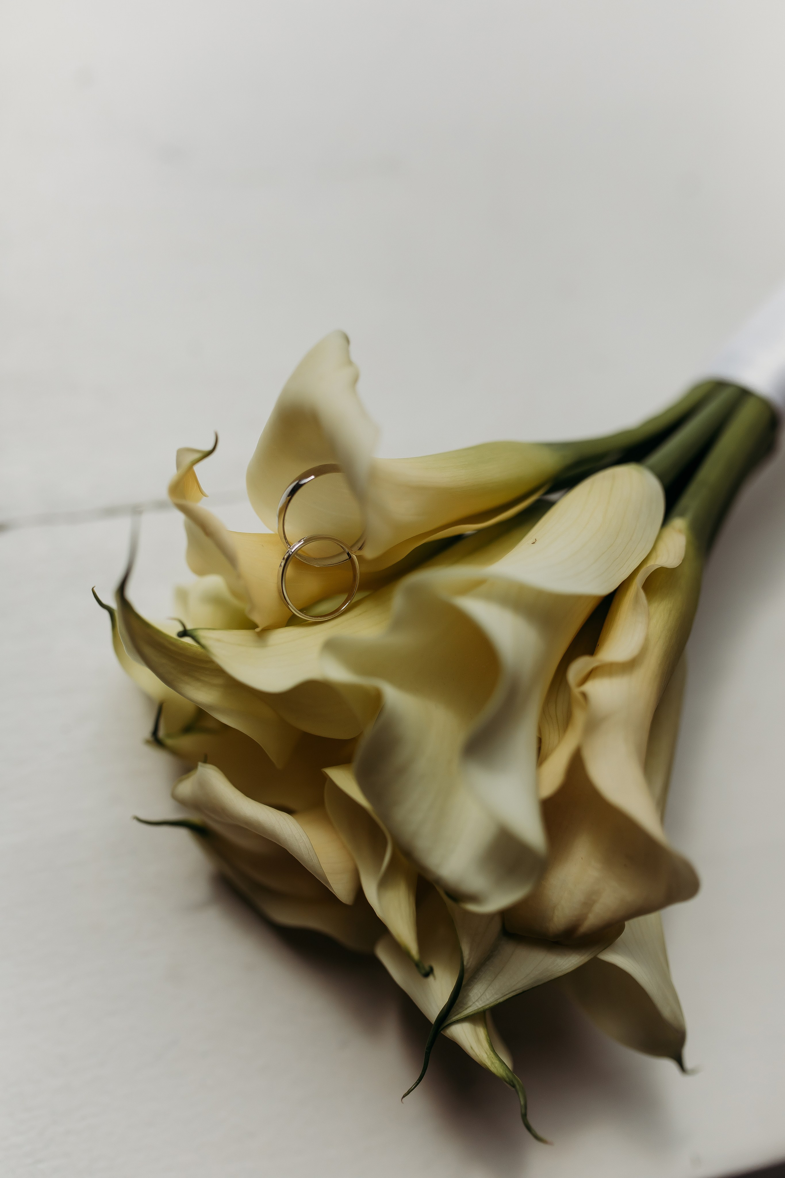 Дарья и Владислав. Фотограф Тимербаева Алина г. Сургут