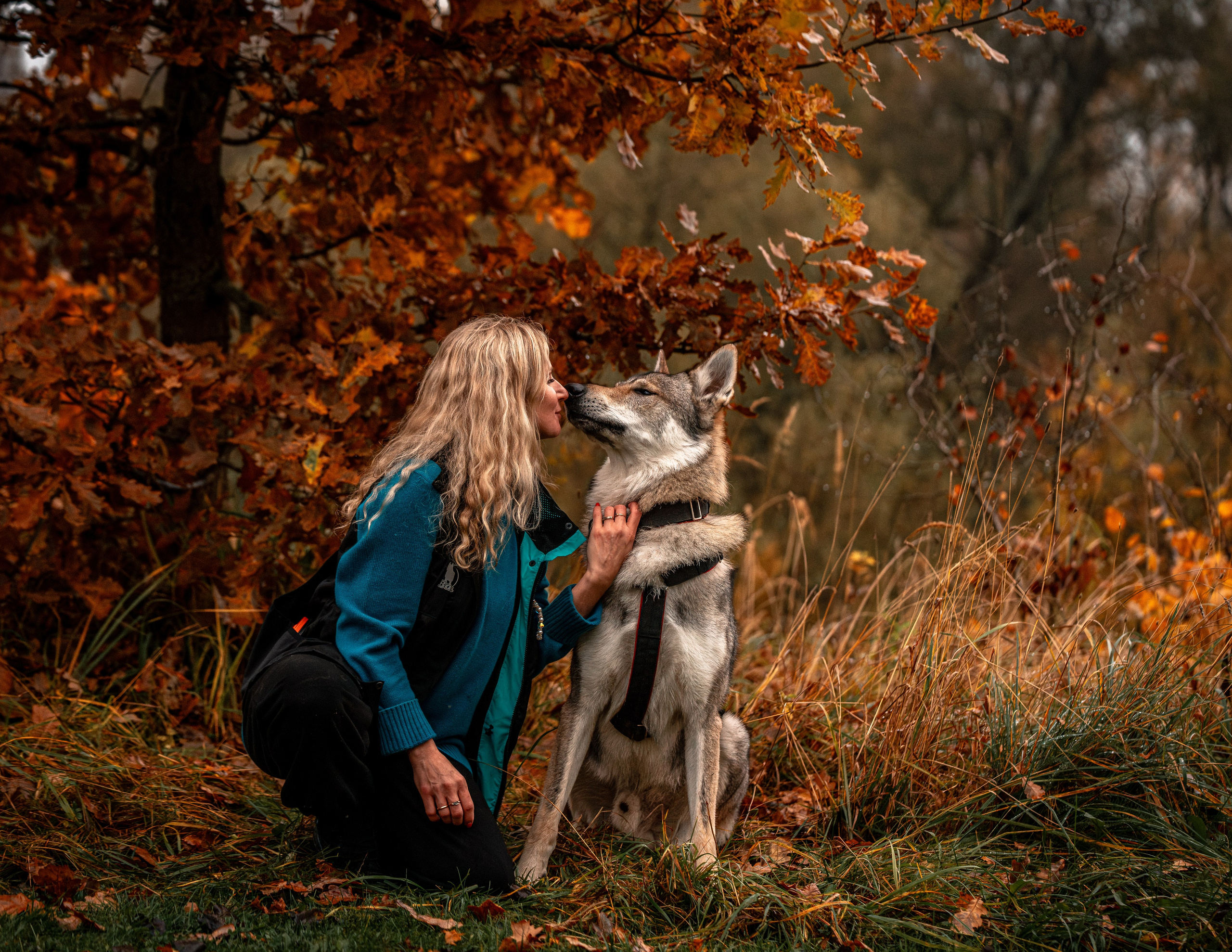 Фотограф-анималист, семейный фотограф в Москве и Подмосковье. Фотосъёмка кинологических дисциплин