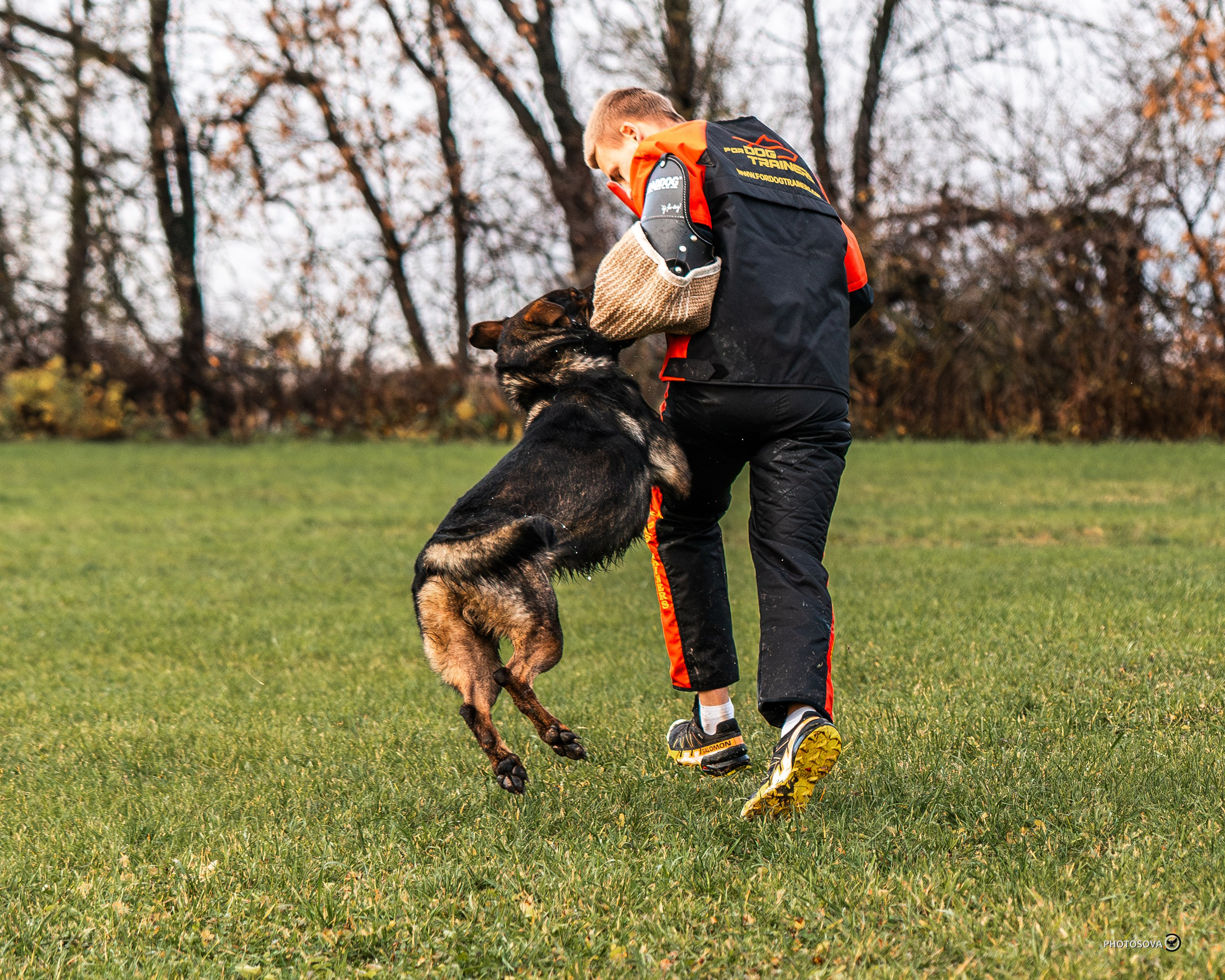 МЫ — КОМАНДА (соревнования) OKD, BH, IBGH, IGP. Фотограф-анималист, семейный фотограф в Москве и Подмосковье. Фотосъёмка кинологических дисциплин