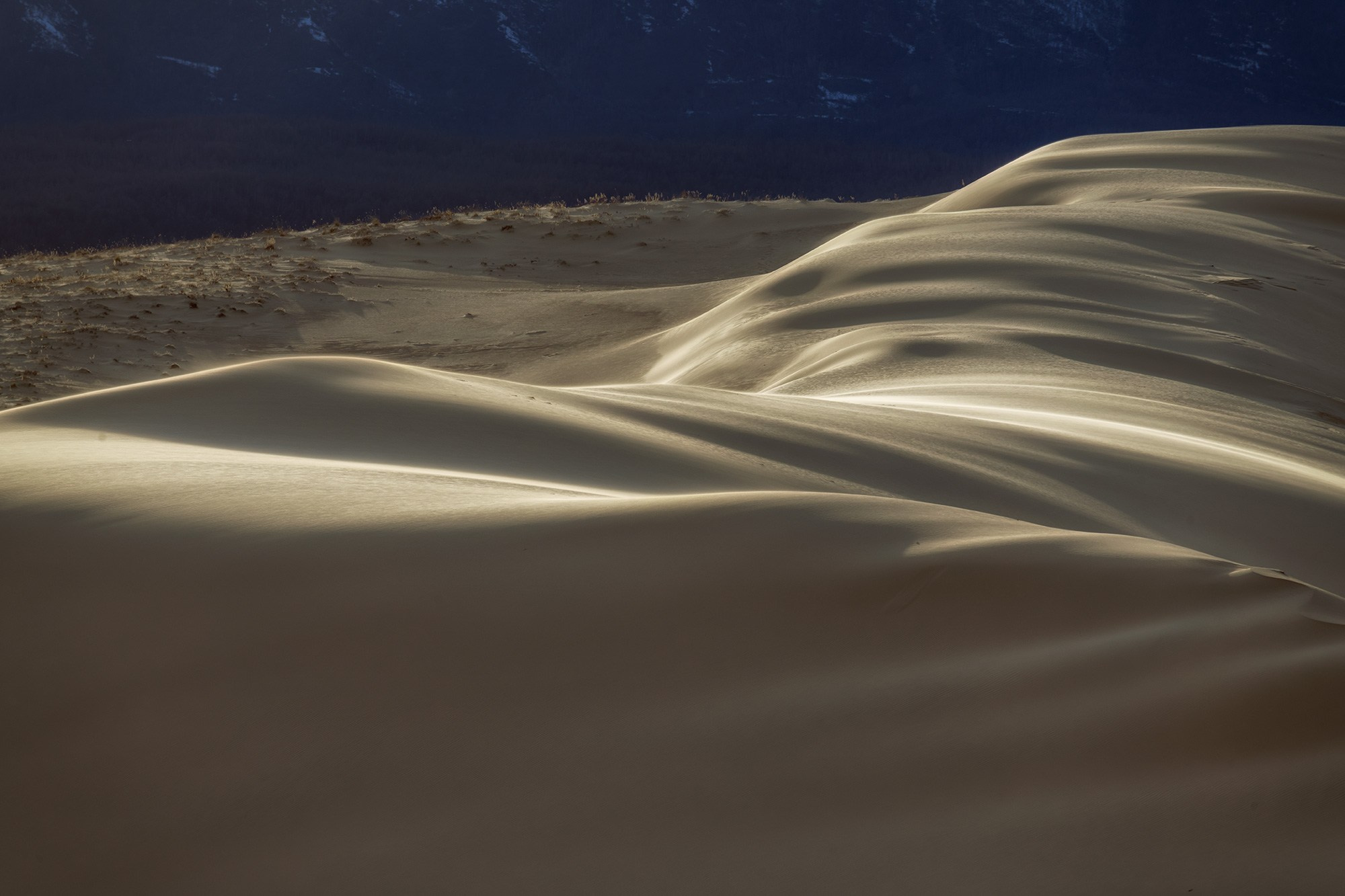 Чарская пустыня. 096-0462