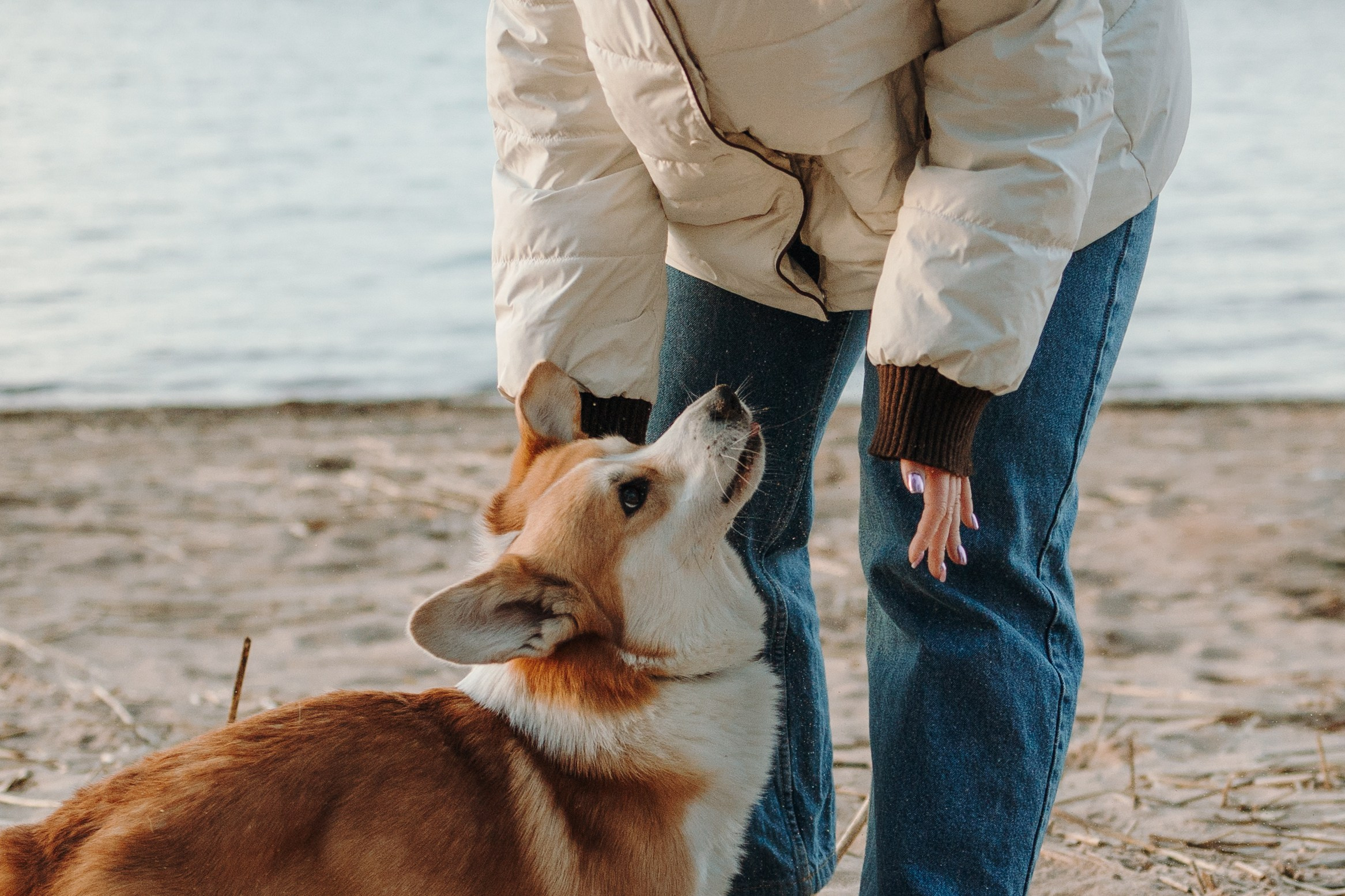Найт и его семья. Фотограф — Анималист | Санкт-Петербург