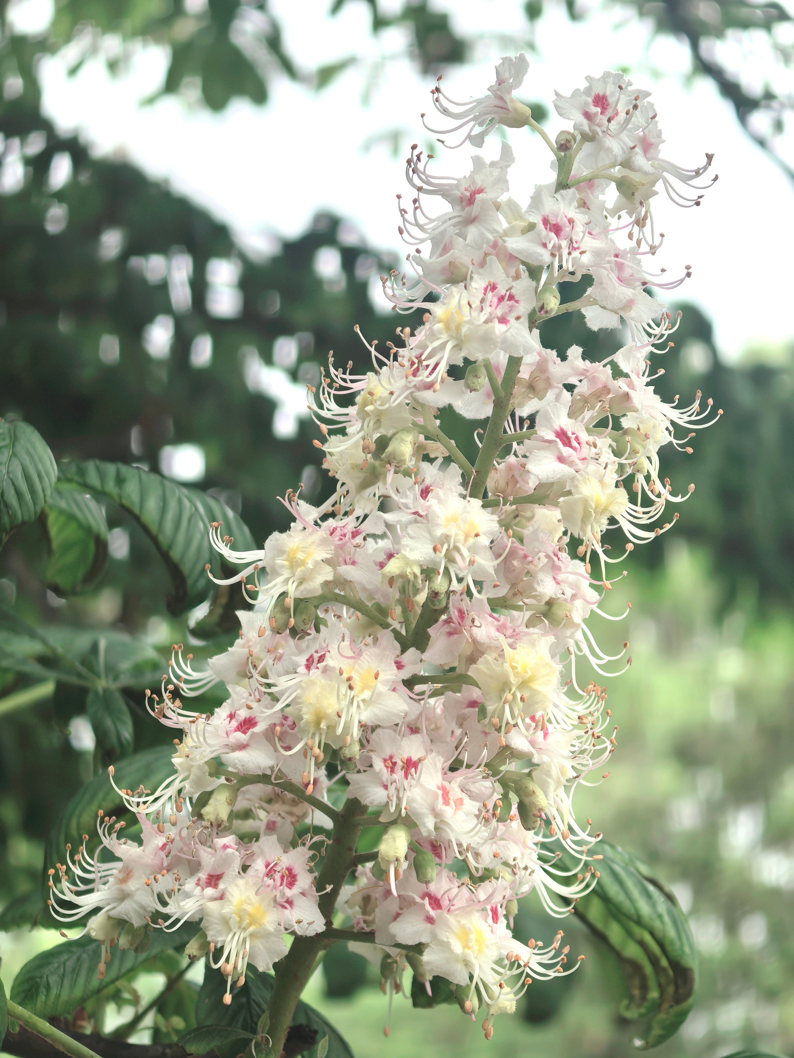 ПочтиМАКРО. Школьные выпускные альбомы в Москве Марина Николаева