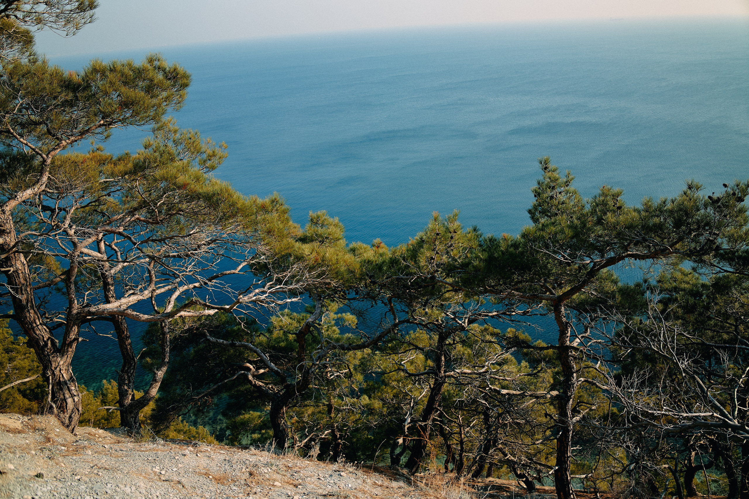 Юг России. Профессиональный Фотограф во Владимире, в Москве и в Суздале — Полина Романычева