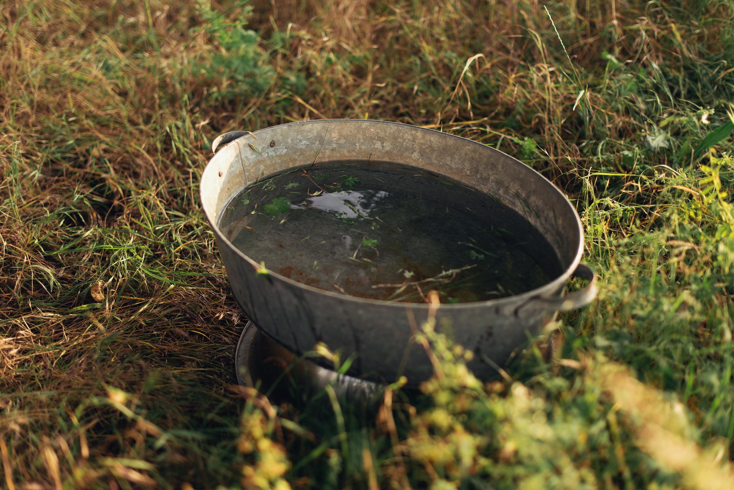 Мама. Фотограф в Краснодаре Альбрехт Амина