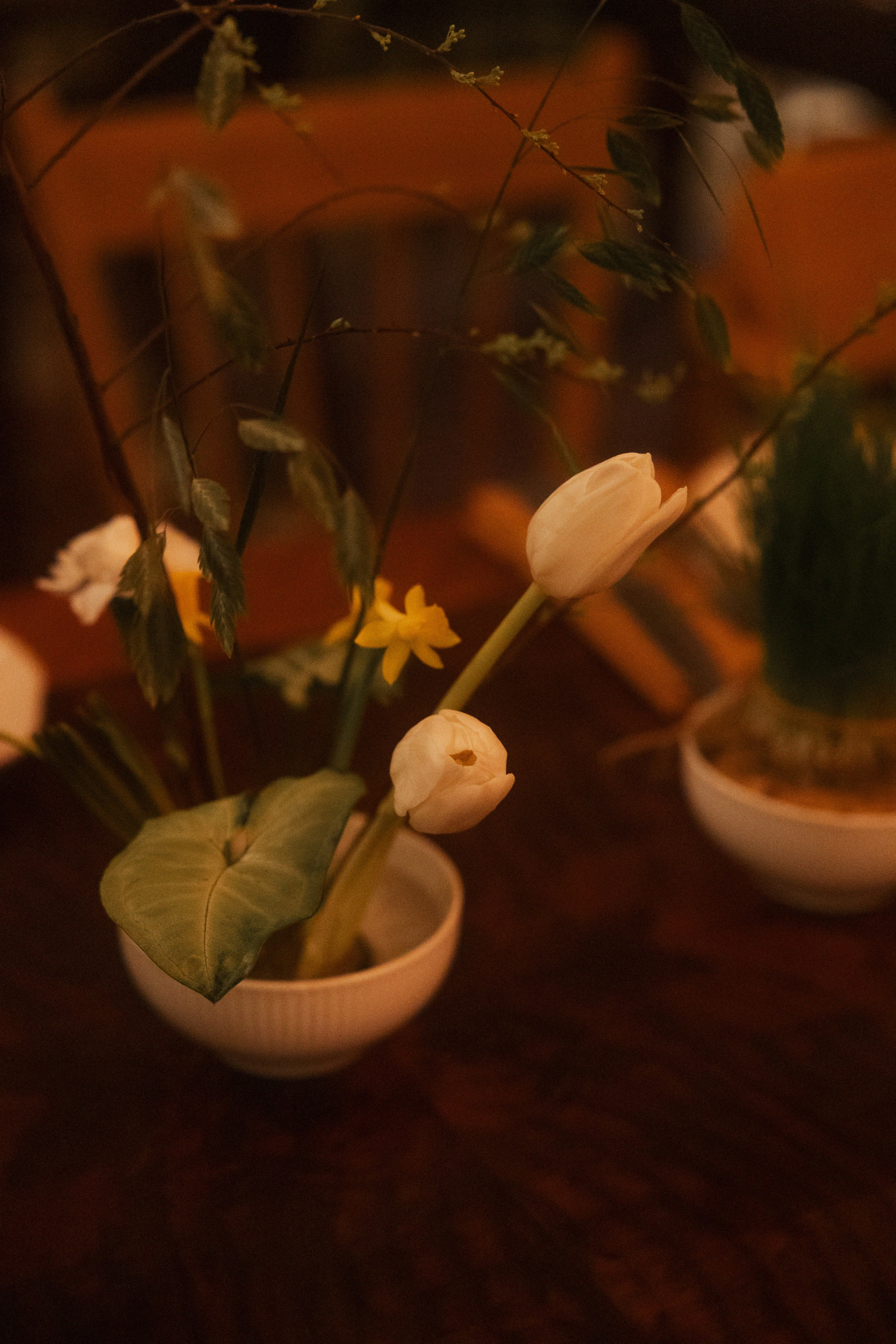 Любовь, Любовь, Любовь. Свадебный фотограф в Рязани и Москве Евгения Жмурова