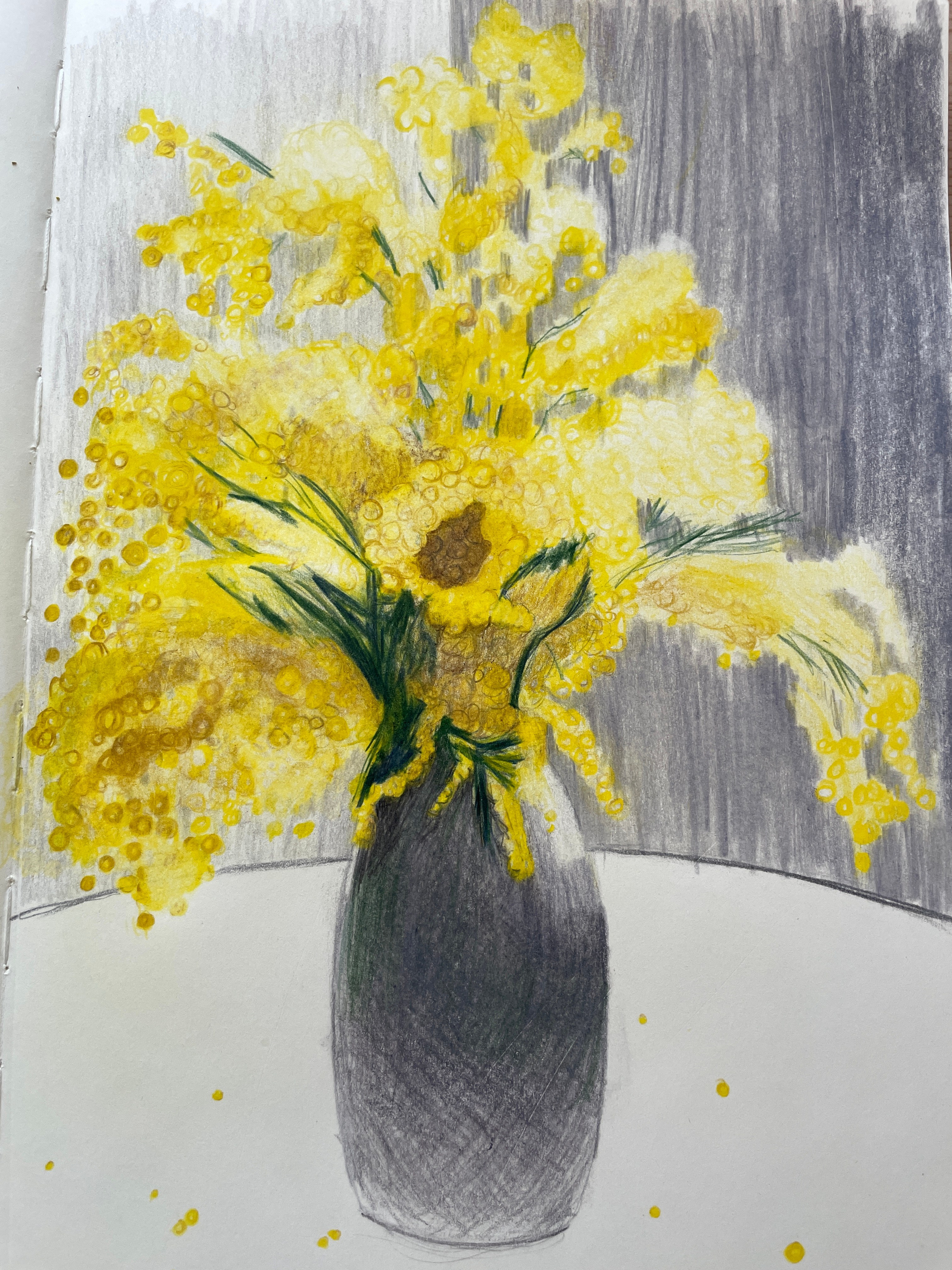 Карандаши. Аня Степанова