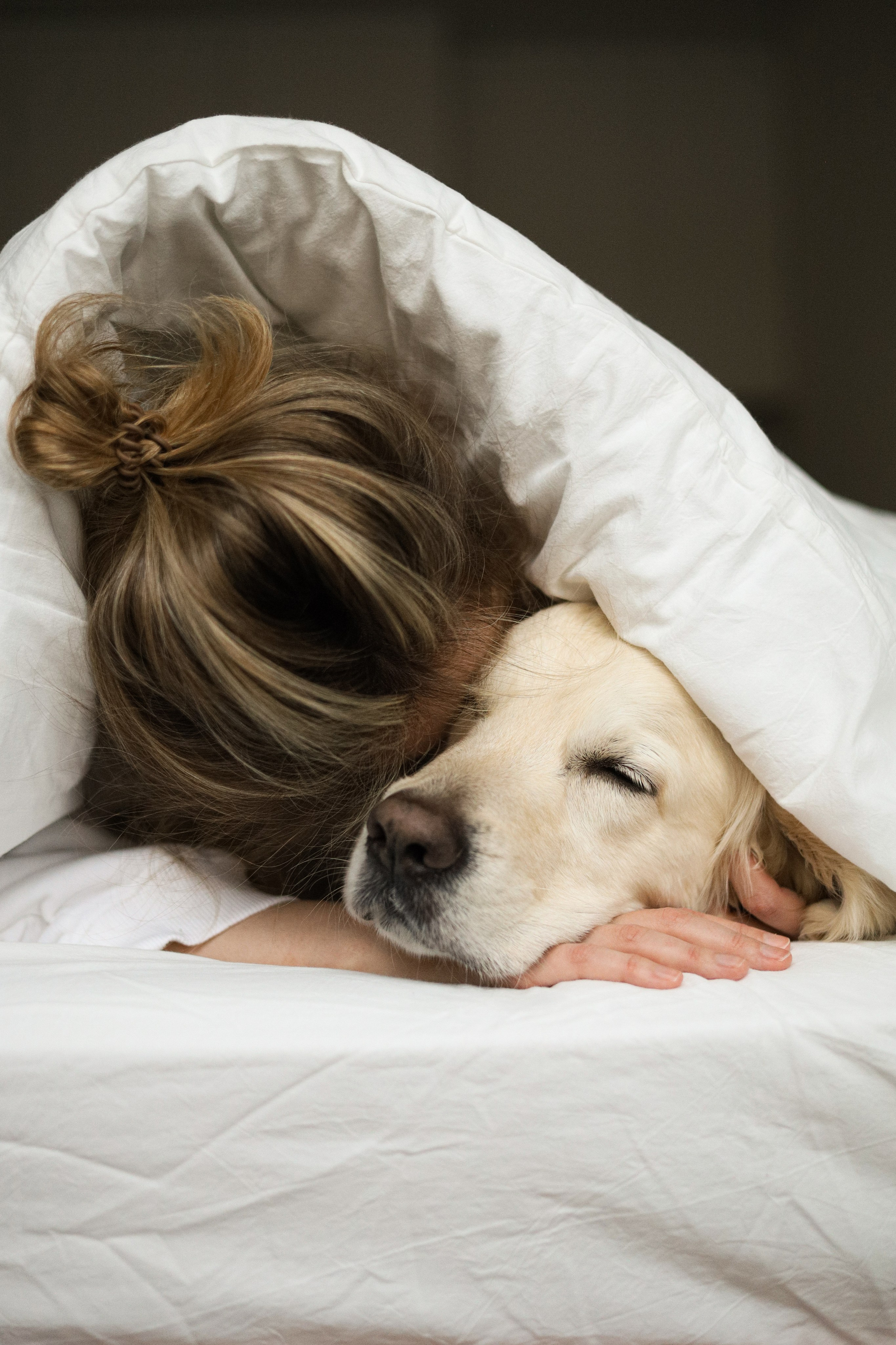 Зиз и Юля. Новогодняя. Фотограф-анималист Ксения Шевцова|Москва