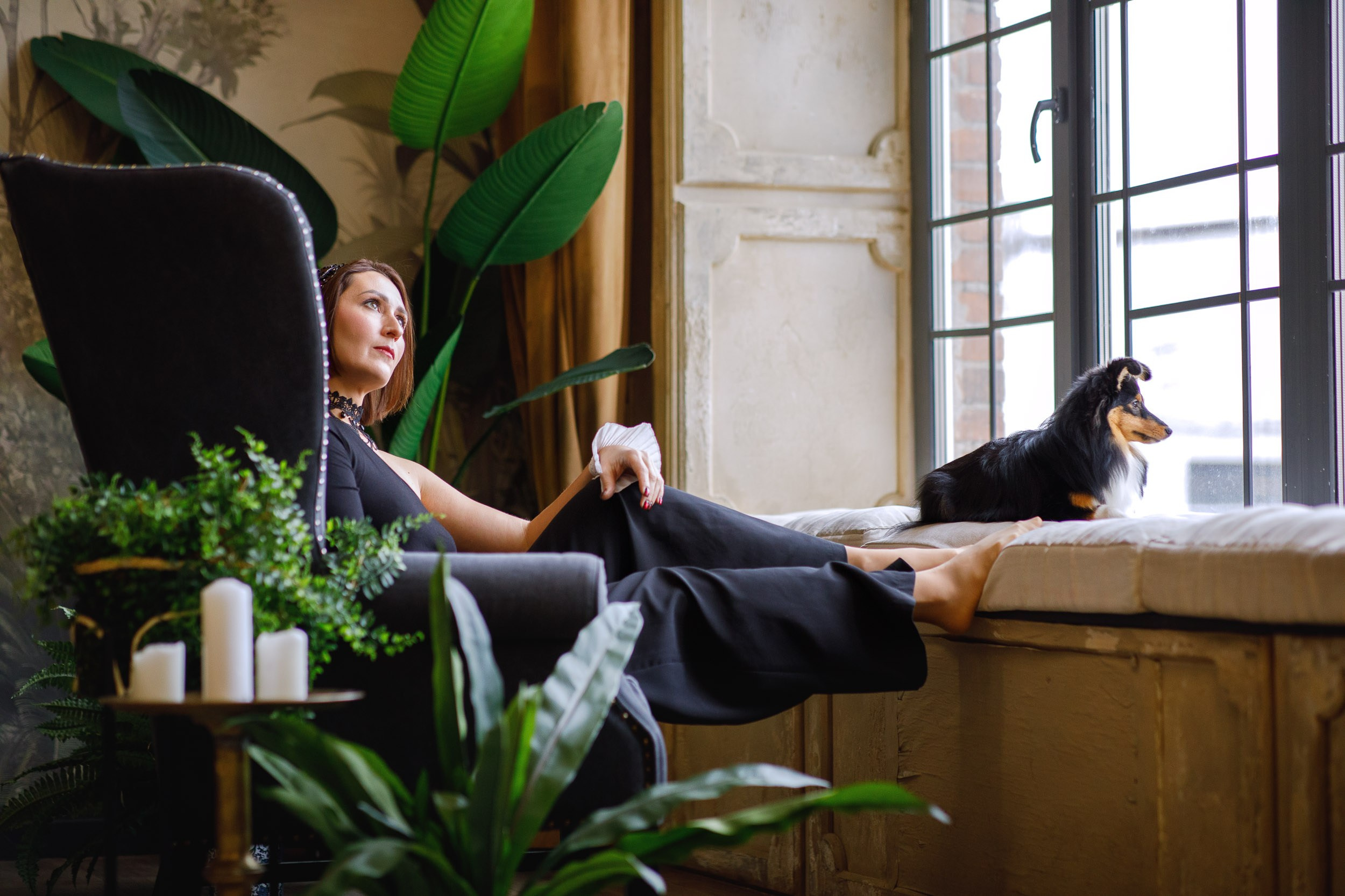 Съемка с собакой в студии Москва. Фотограф-анималист в Москве и Московской области Татьяна Фролова