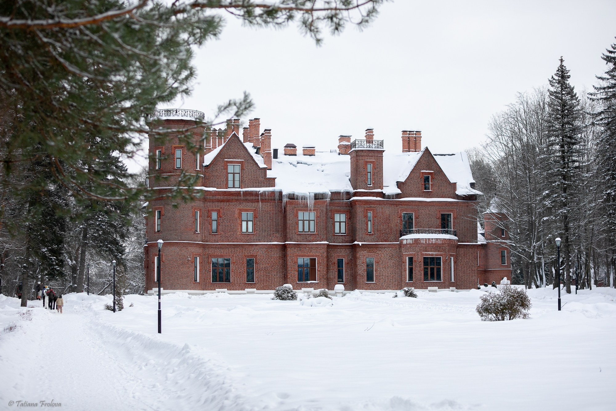 Фотосъемка похода с собаками в Московской области. Фотограф-анималист в Москве и Московской области Татьяна Фролова