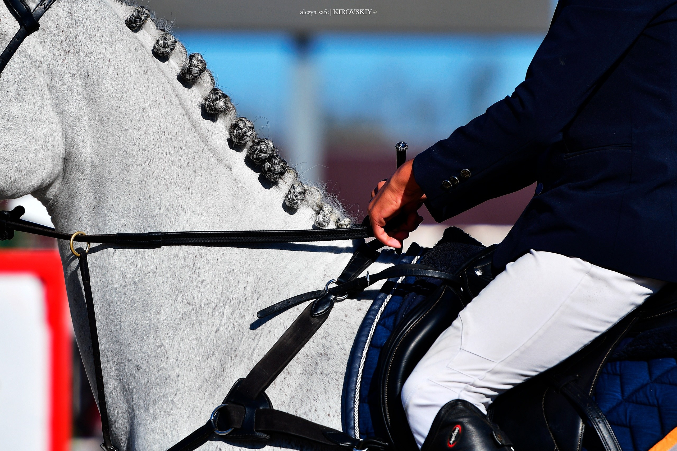 Кировский конный завод. Конный фотограф Alesya Safe