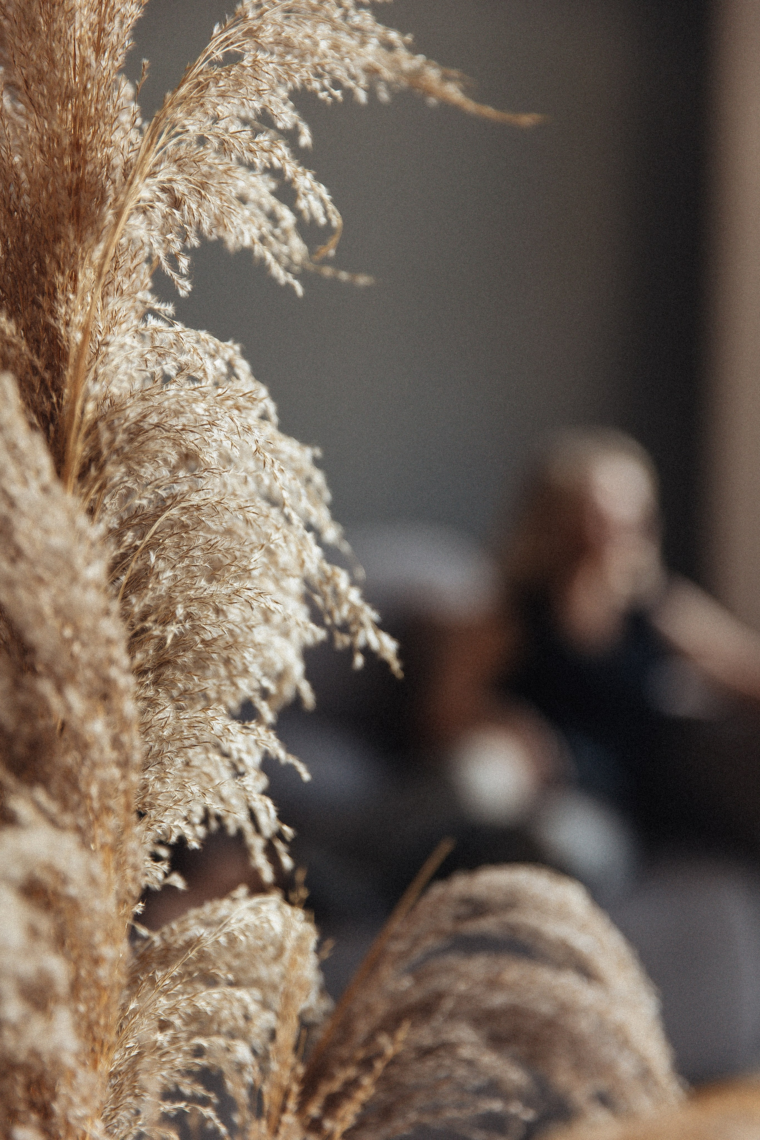 Настя. Фотограф Алина Ионычева в Новосибирске