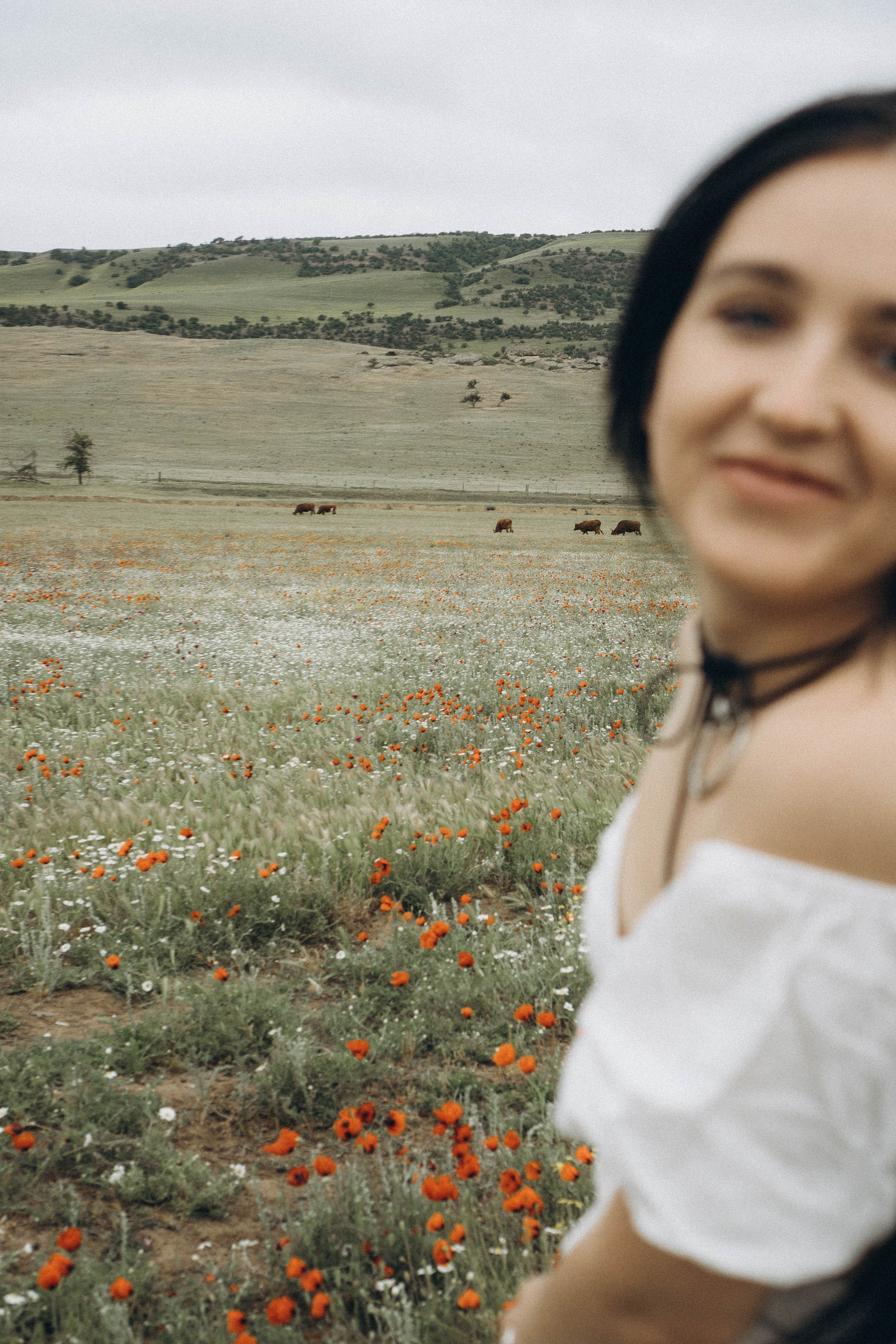 Маковое поле. Профессиональный фотограф, Санкт-Петербург — Виктория Богомолова