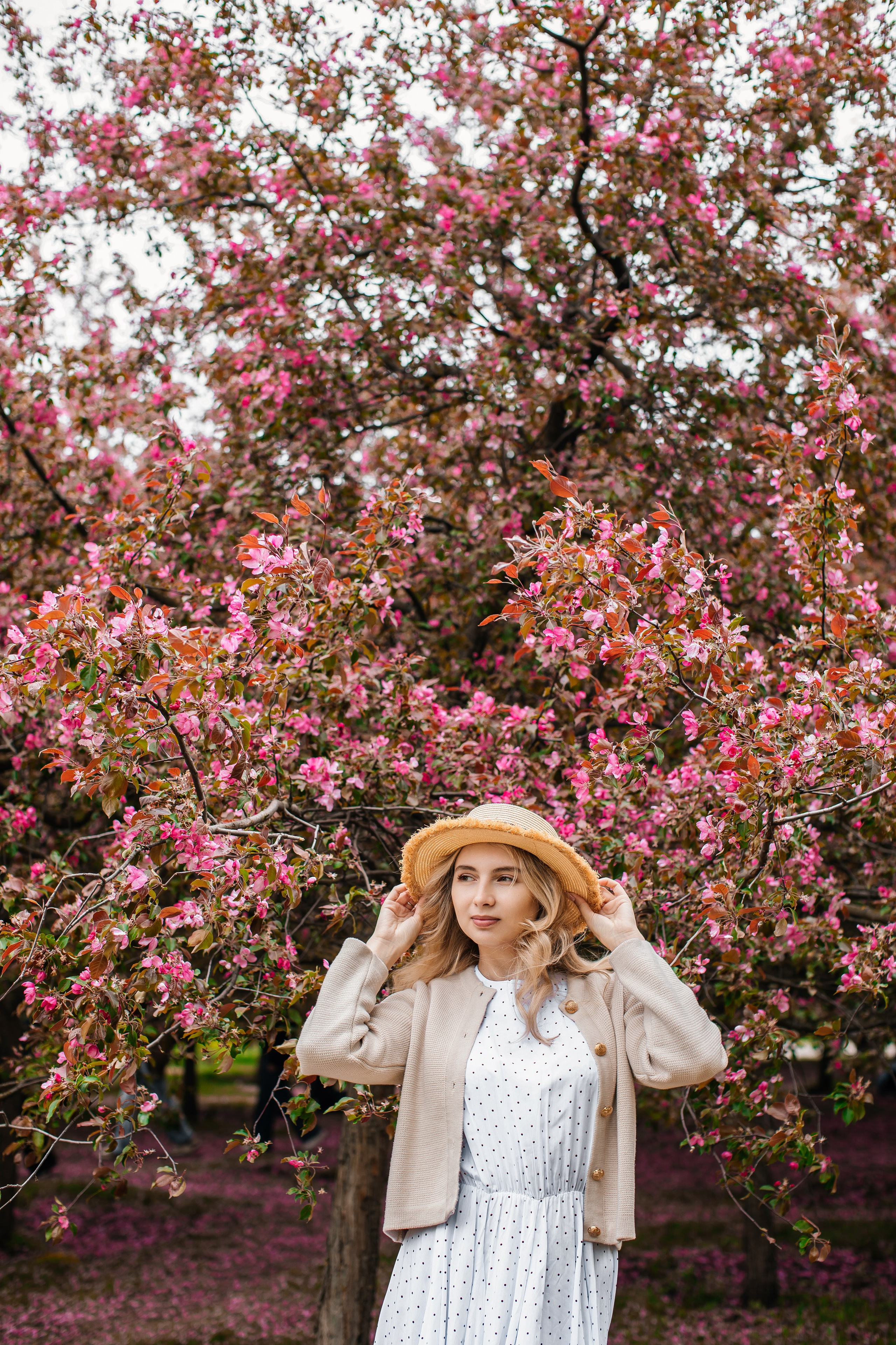 Цветение. Анастасия Давыдова