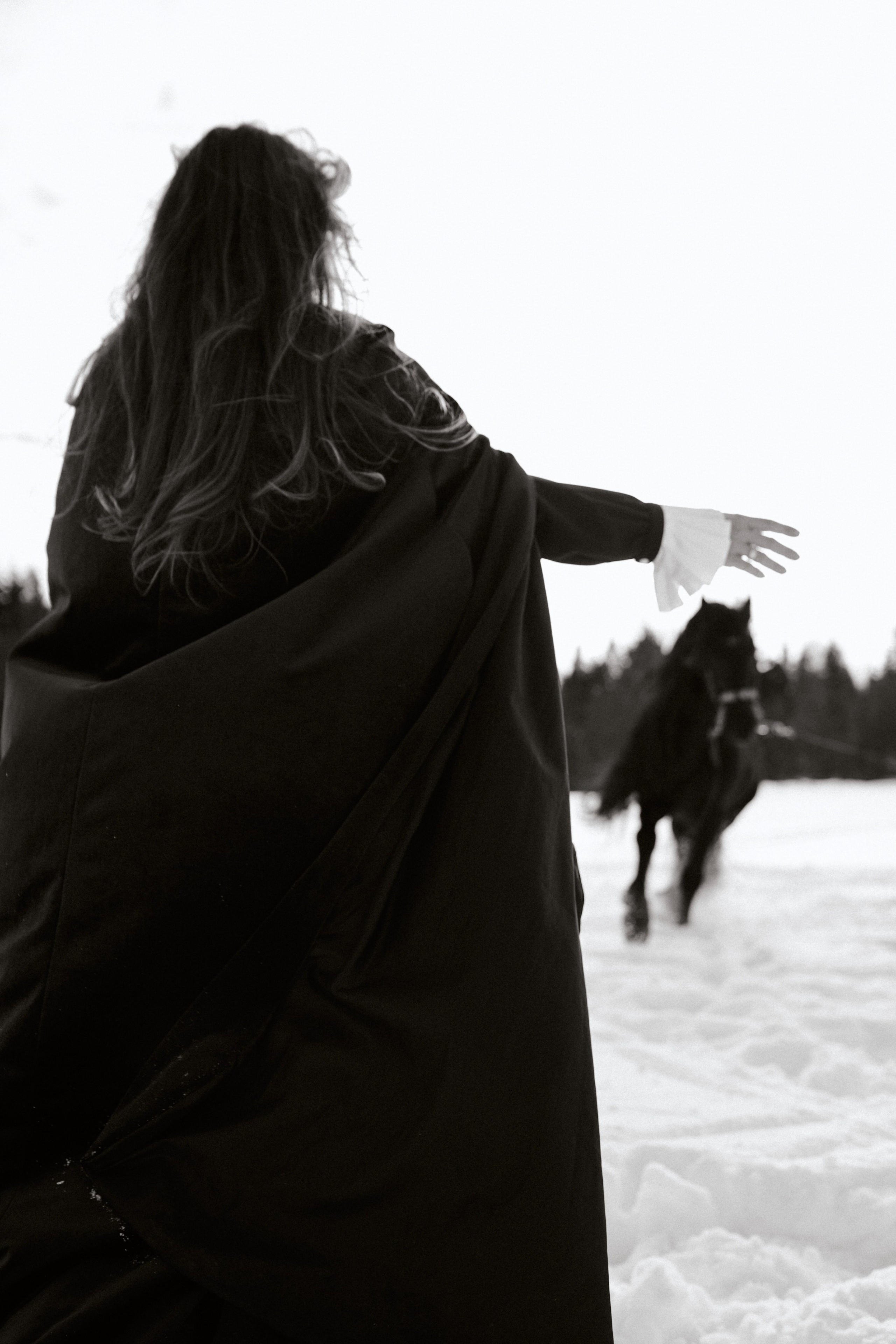 Женский портрет. Фотосессии с лошадьми в Москве, Новосибирске