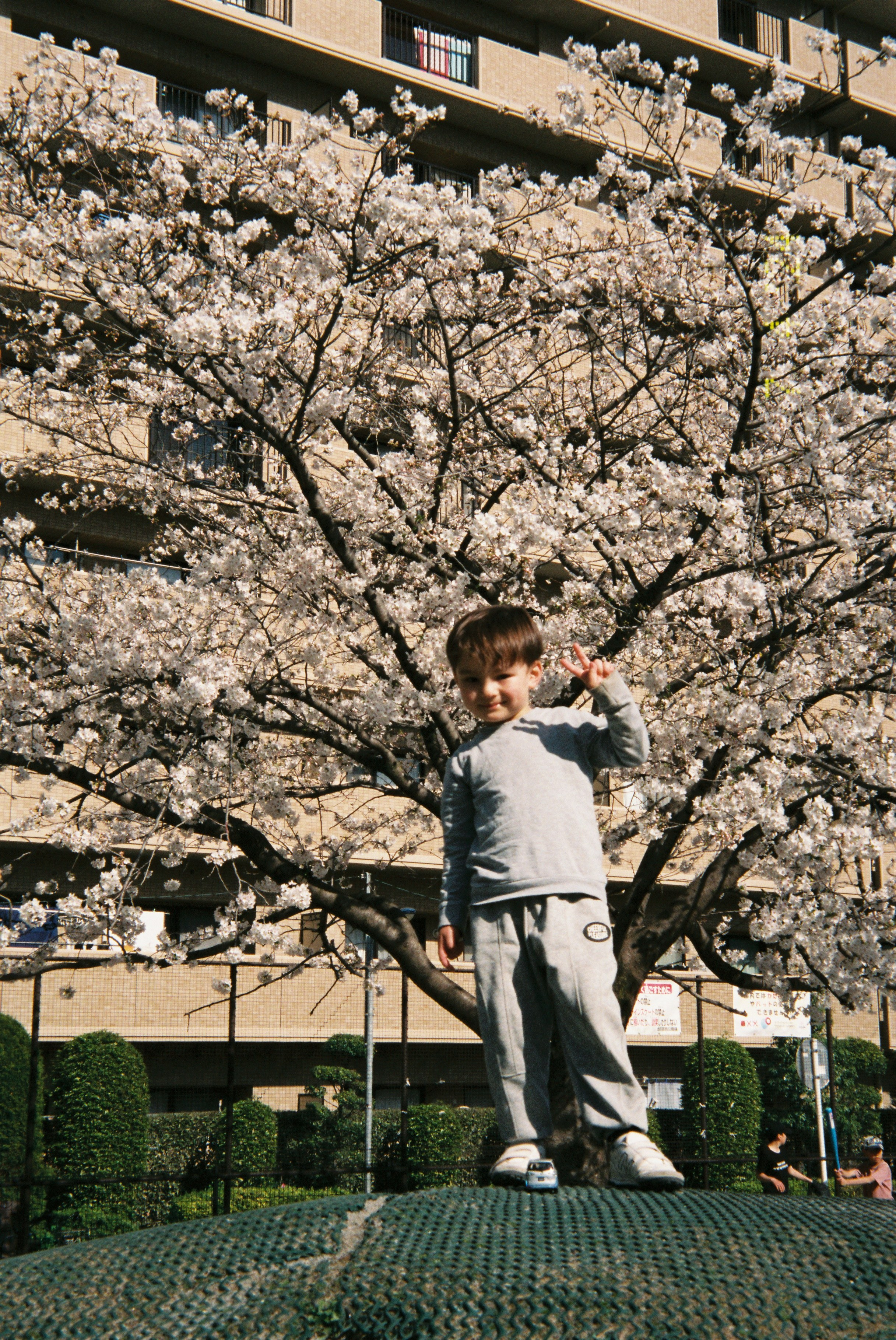 Пленка. Фотограф Алина Диева Москва | Токио