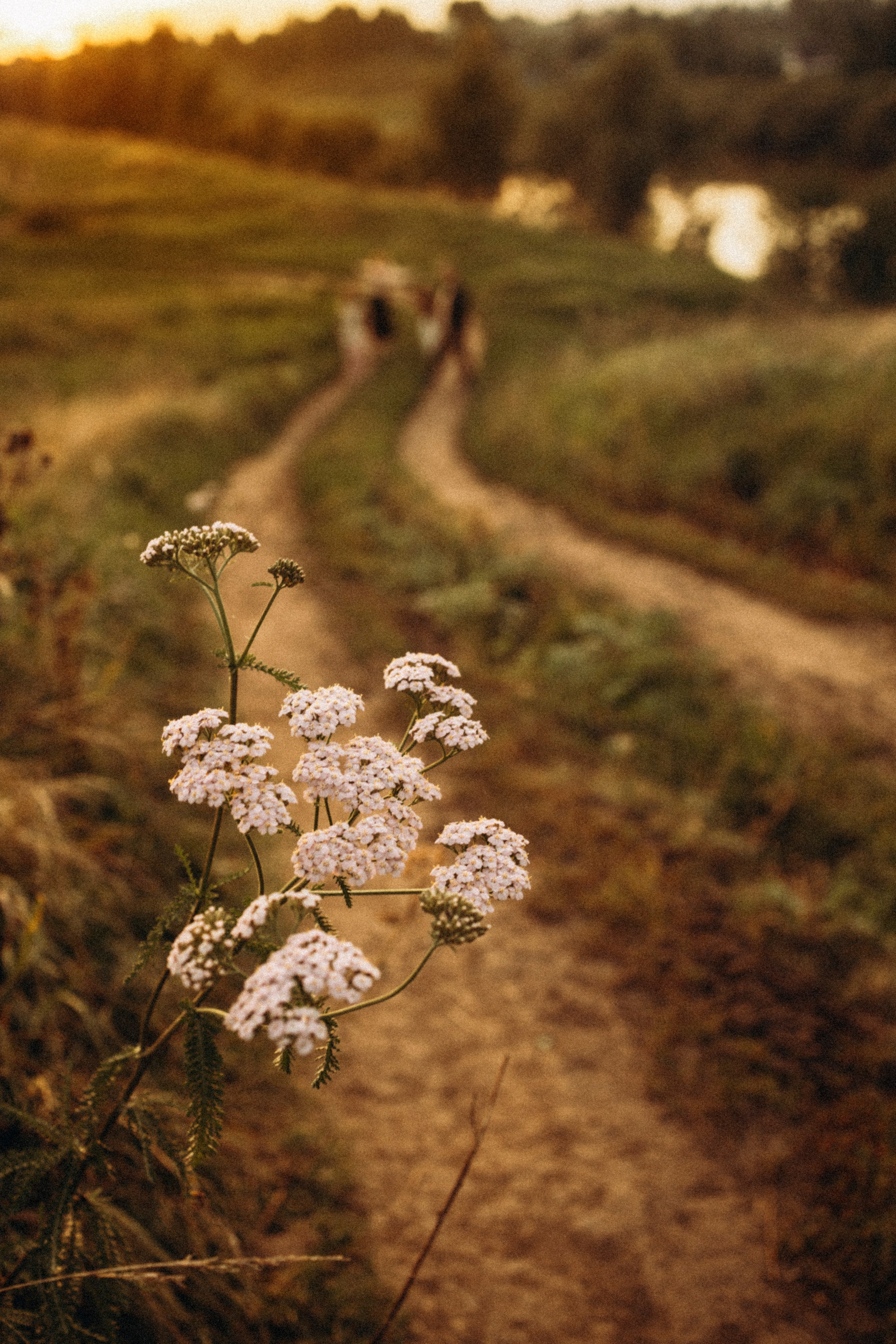 В лучах заката. Lifestyle семейный и детский фотограф в Омске Иванова Екатерина