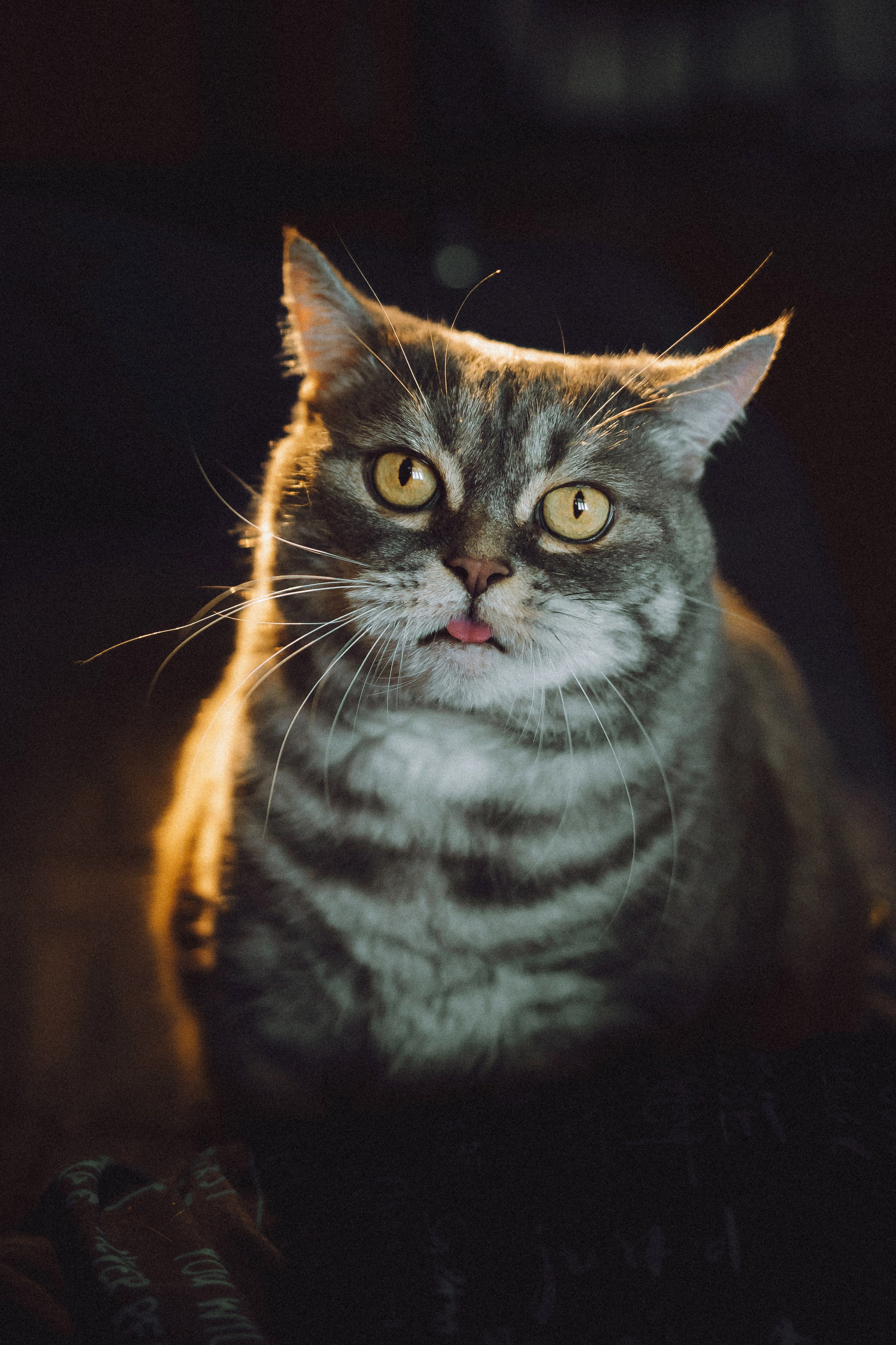 Яся и ее семья