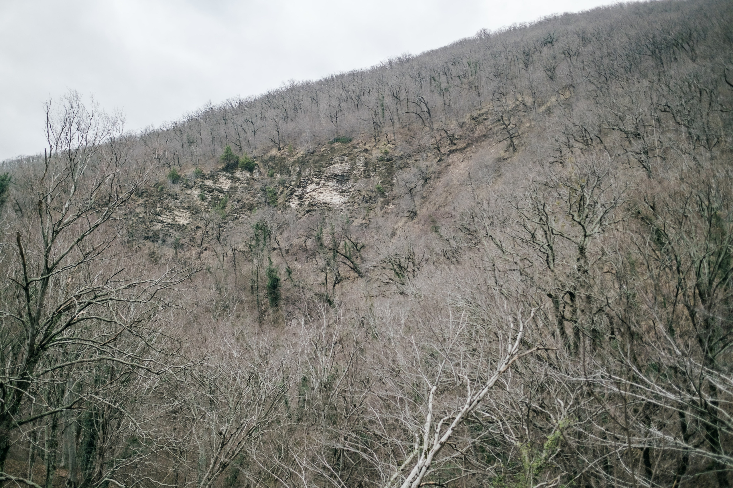 Фестиваль Братья Зима 2024, поход в горы. Фотограф в Москве Максим Скоробогатов